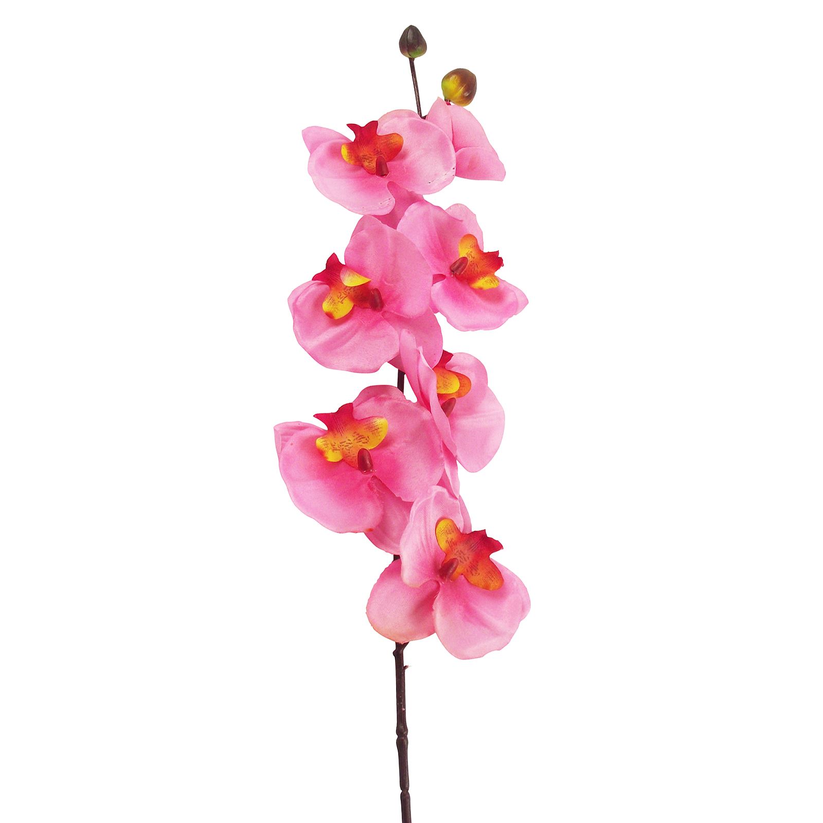 Long Stemmed Eco Orchid Stem - Artificial Fake Flowers Phalaenopsis ...