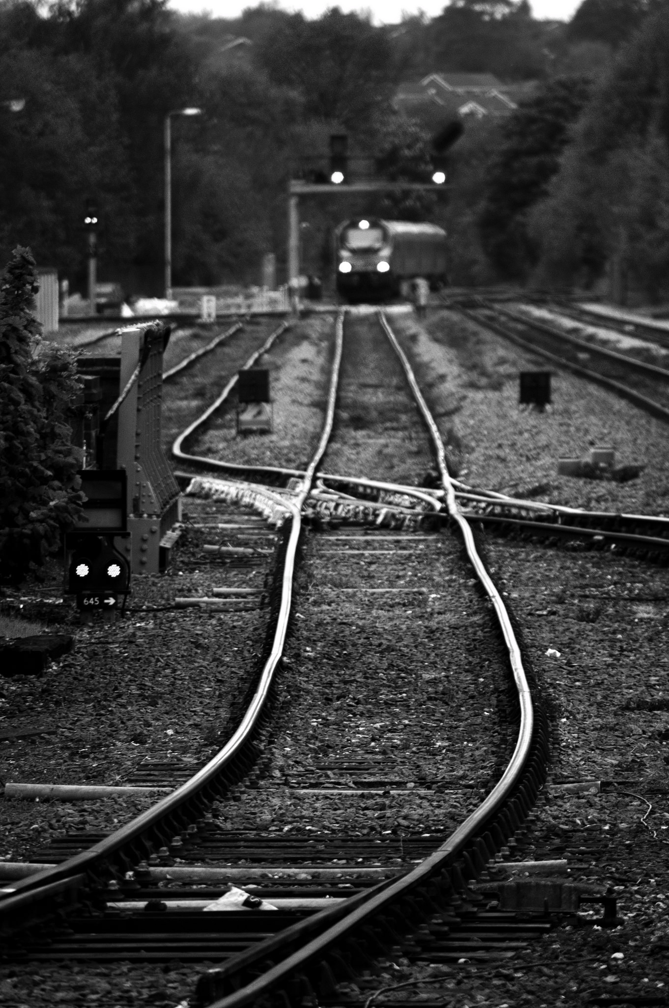 Free Photo Looking Down The Line Blackandwhite Lines Monochrome 