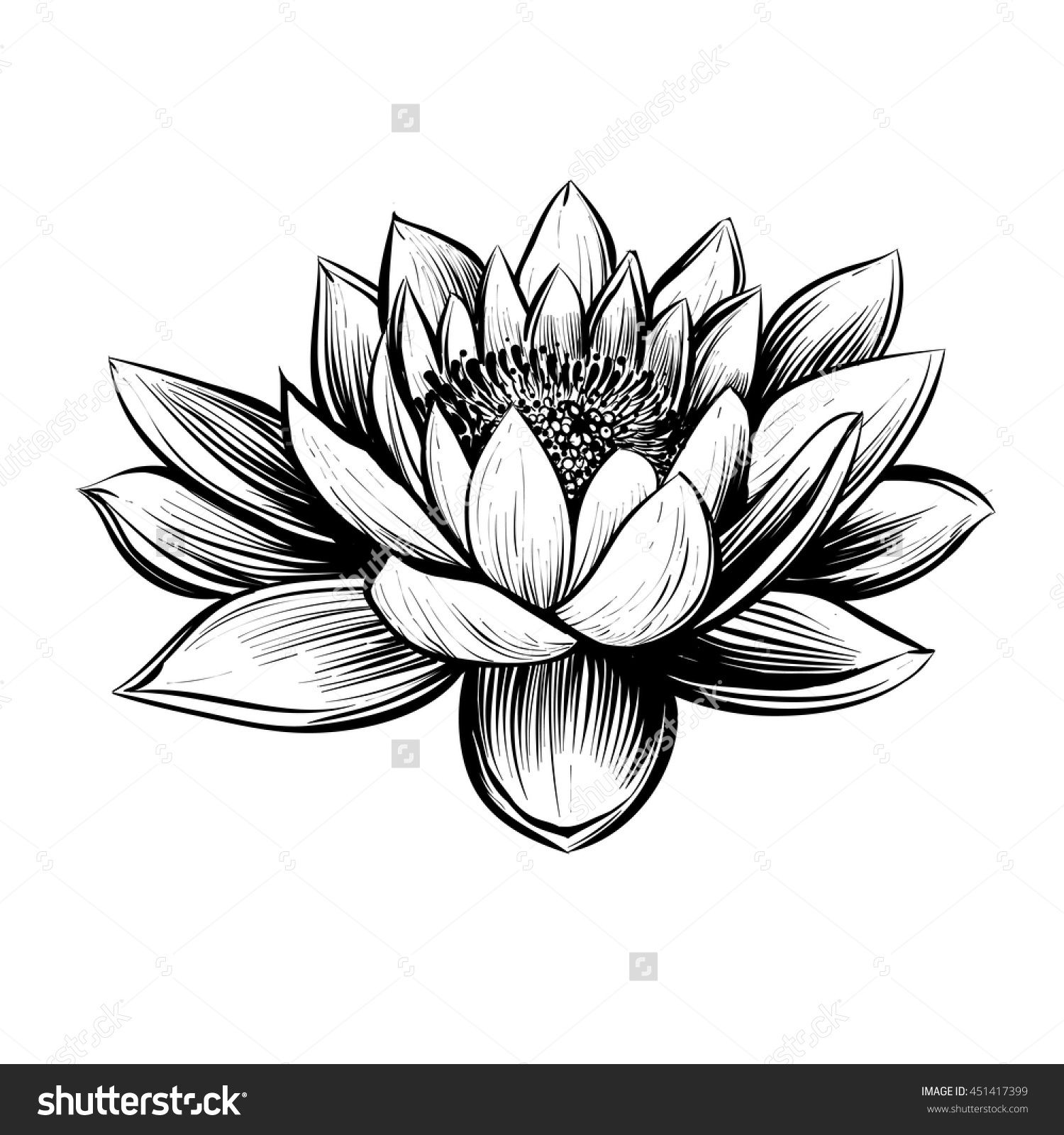 stock-vector-vector-water-lily-lotus-illustration-black-and-white ...