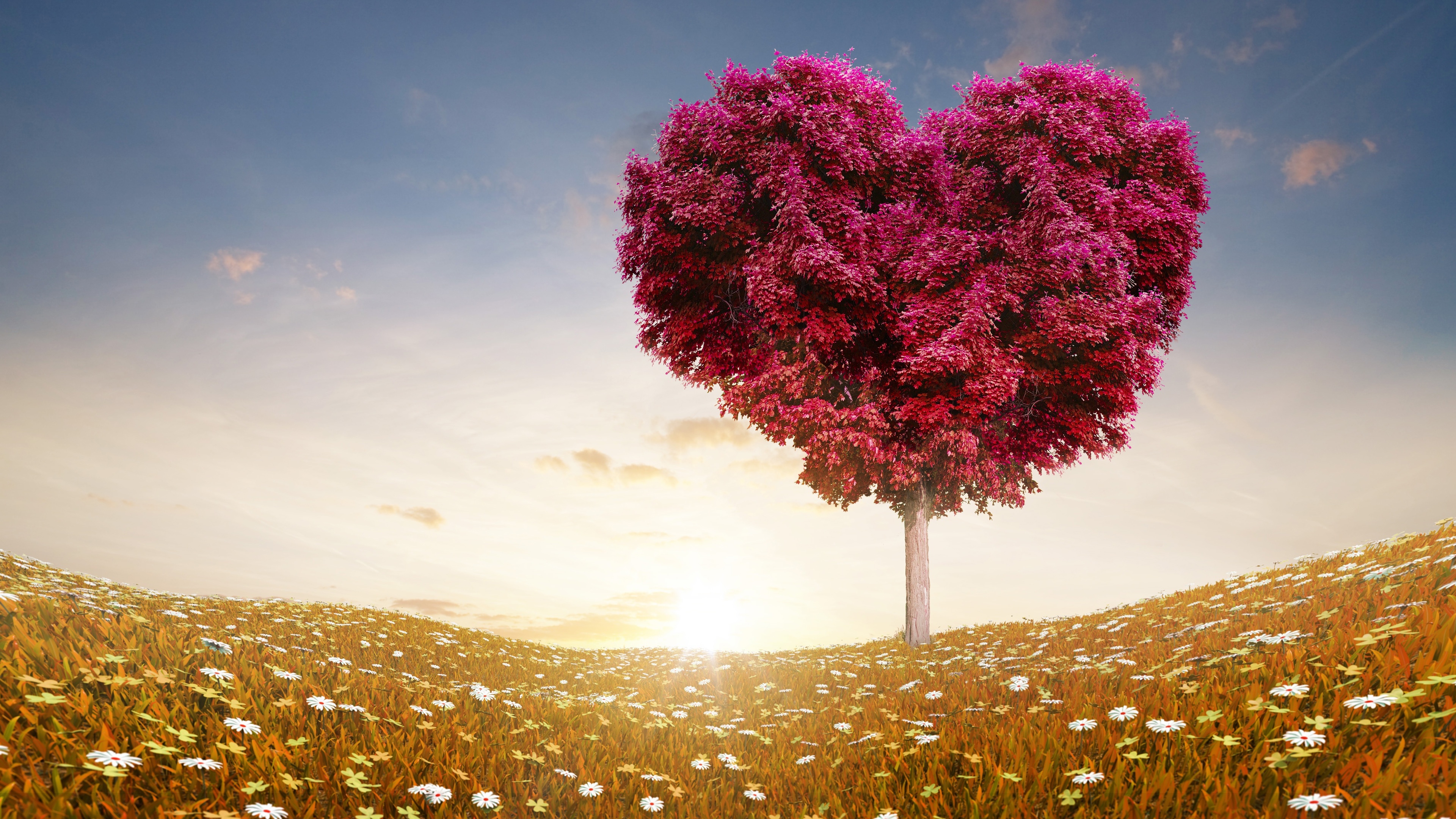 Love Heart Tree Fields Wallpapers in jpg format for free download