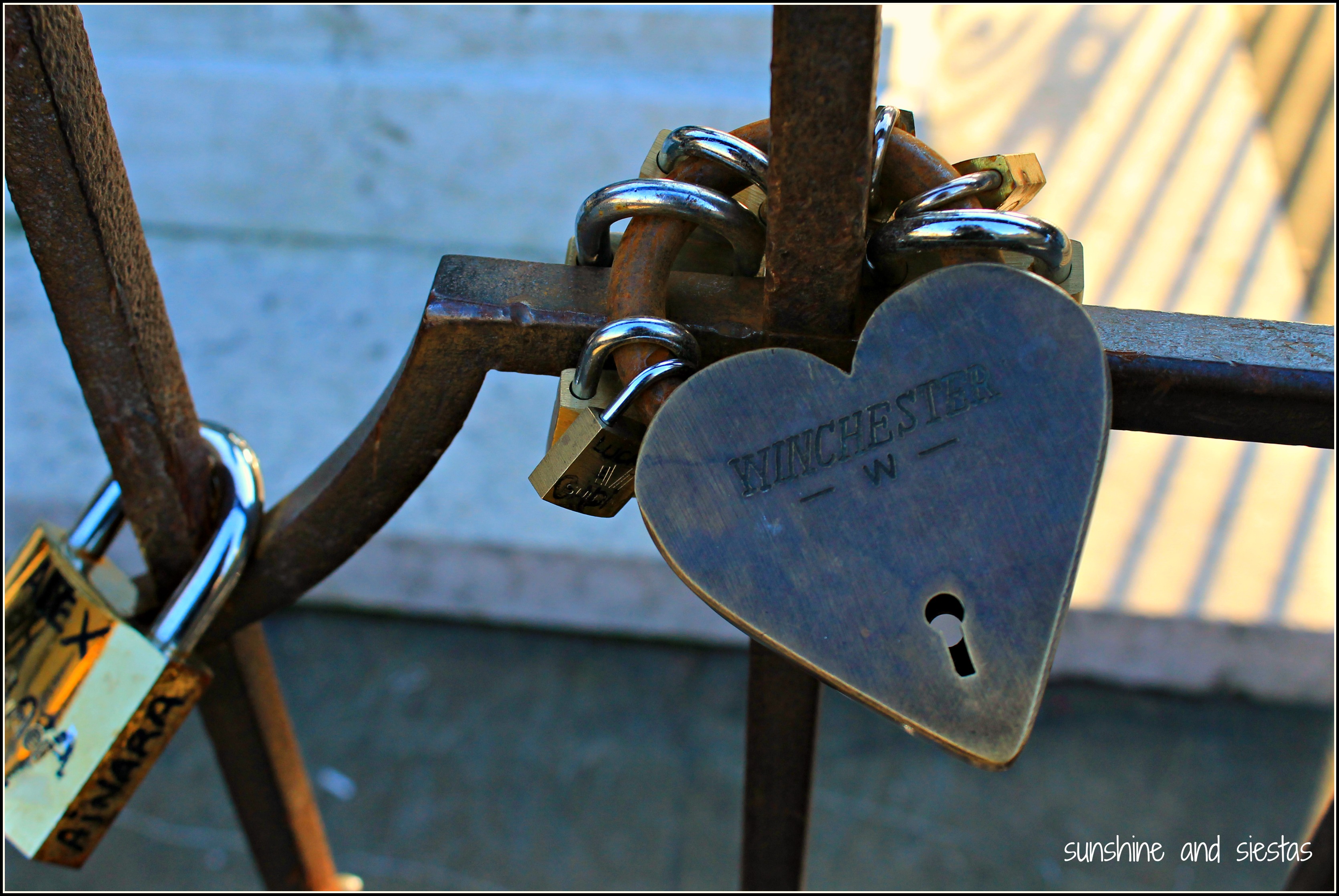 Seville Snapshots: Love Locks in Florence, Italy | Sunshine and ...