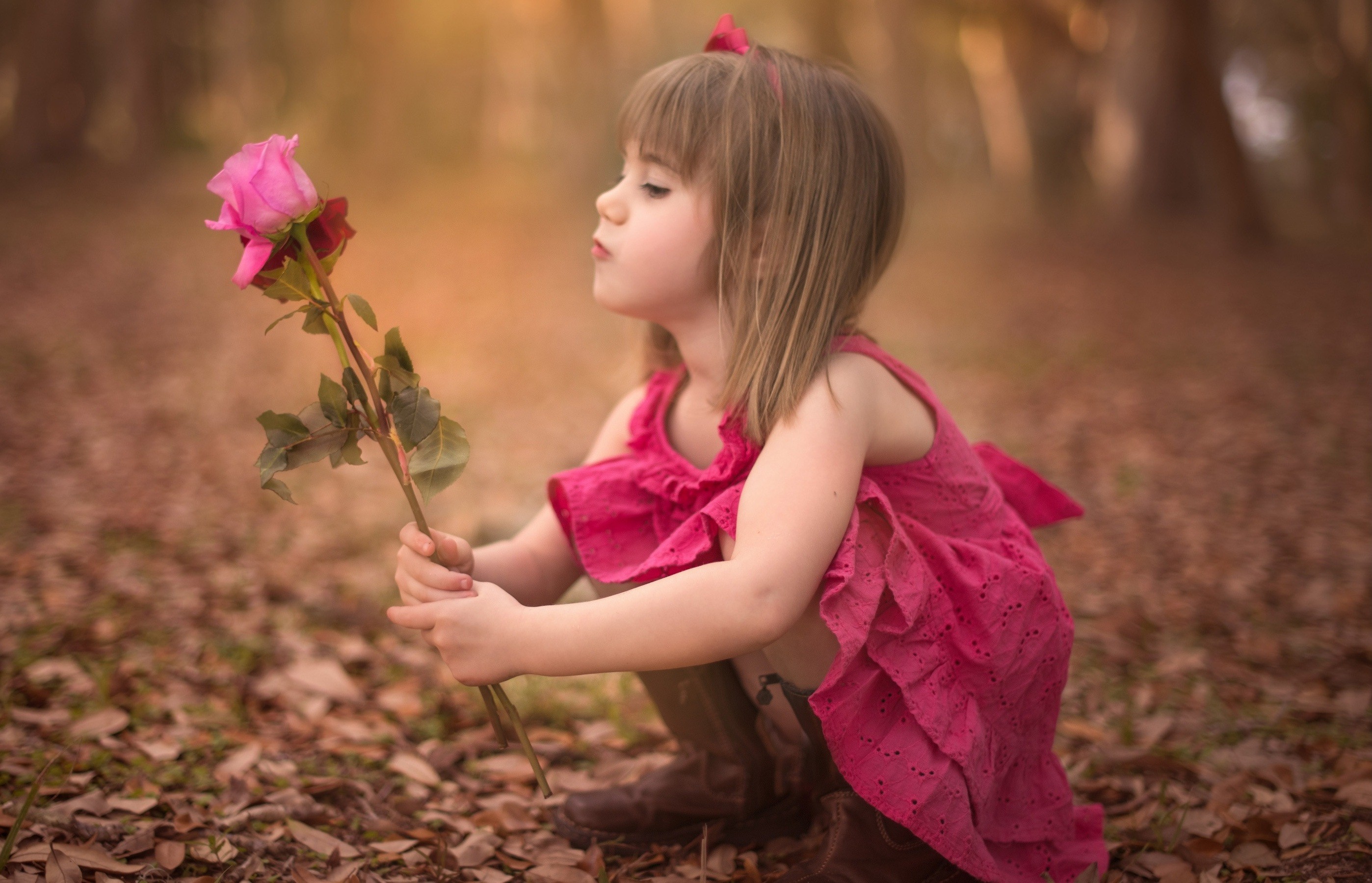 Desktop Of Lovely Baby Girl Playing Pink Rose Photo Hd On Full ...