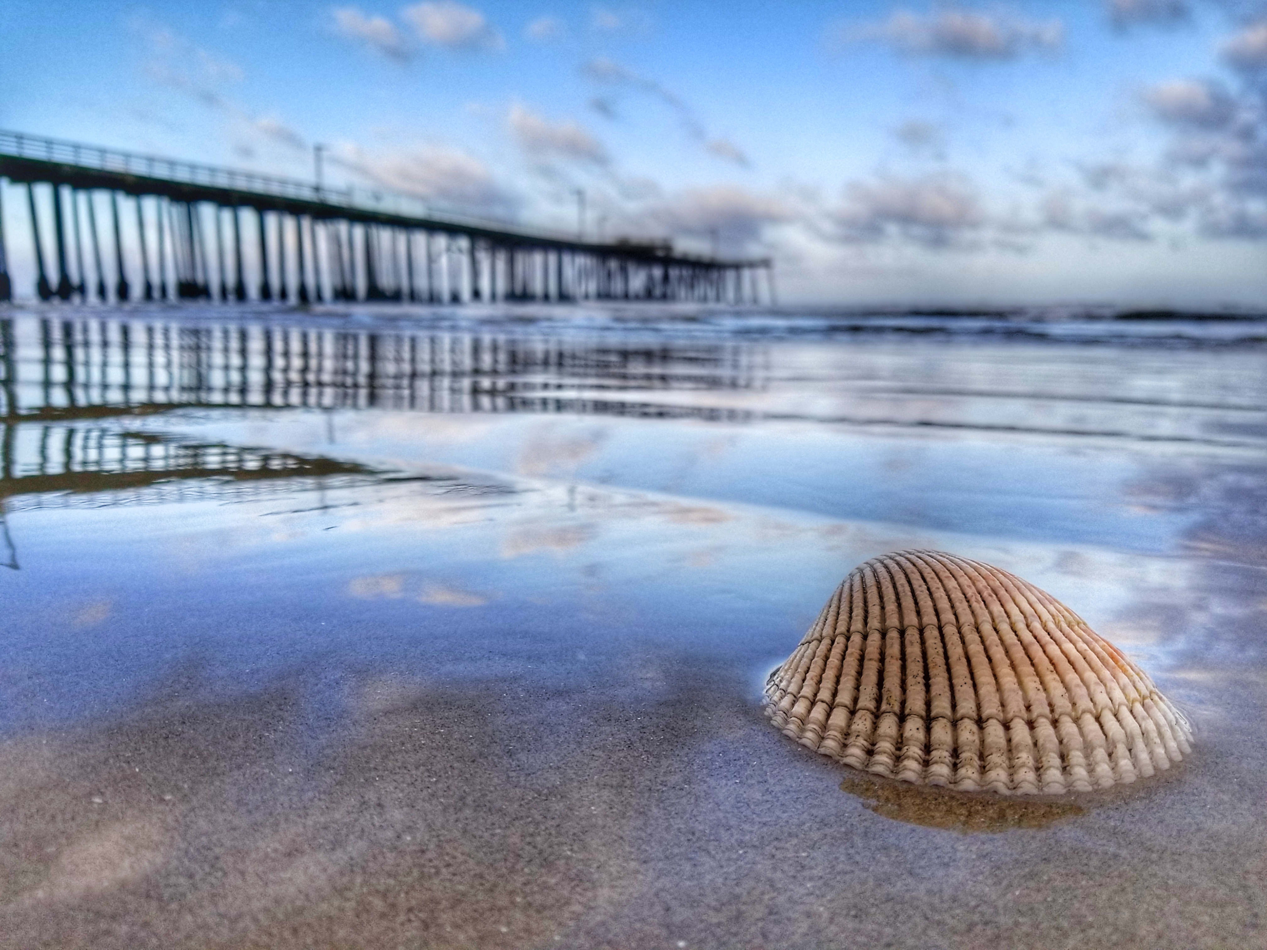 Low Tide at the Pismo Pier - Central Coast Business Photography