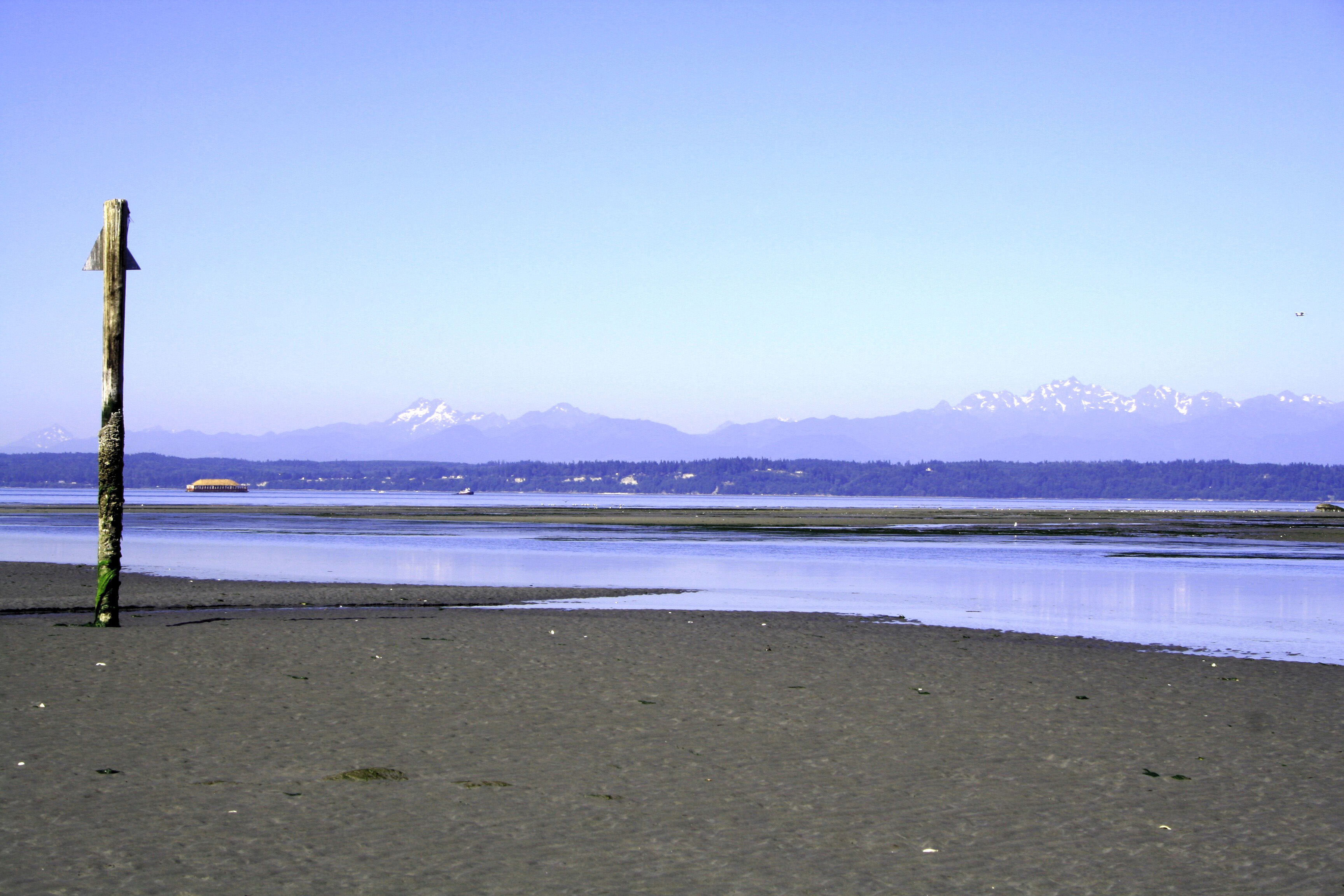 File:Low tide on Whidbey Island.JPG - Wikimedia Commons