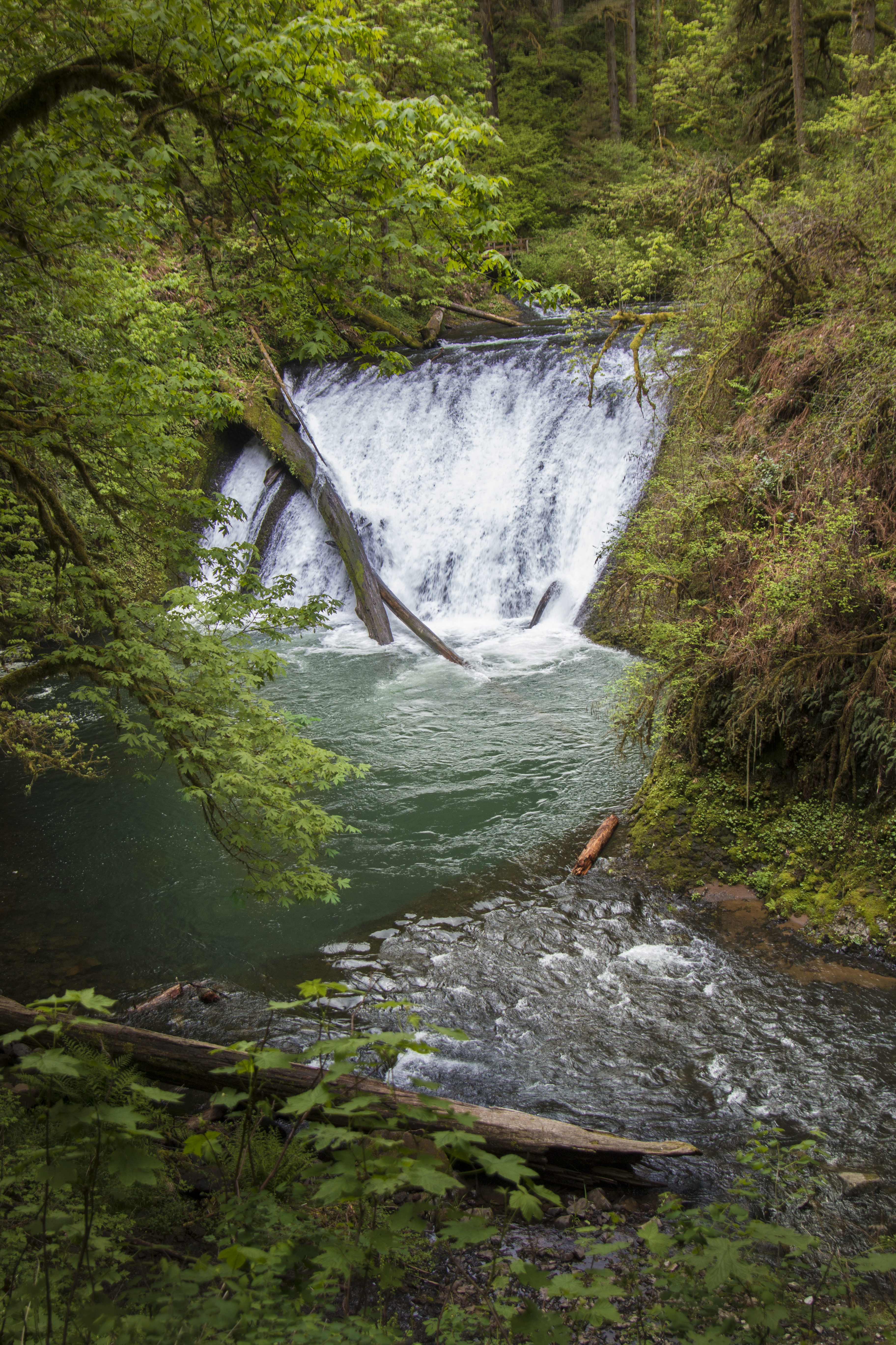 Lower North Falls, Silver Creek Park, Oregon, Creek, Forest, Oregon, River, HQ Photo