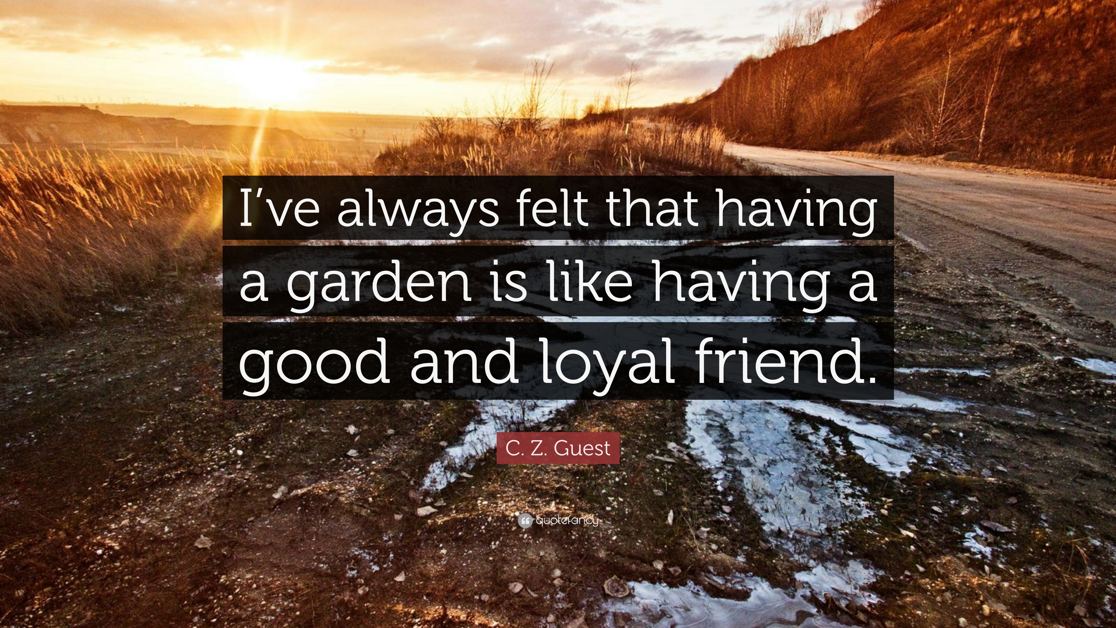 C. Z. Guest Quote: “I've always felt that having a garden is like ...