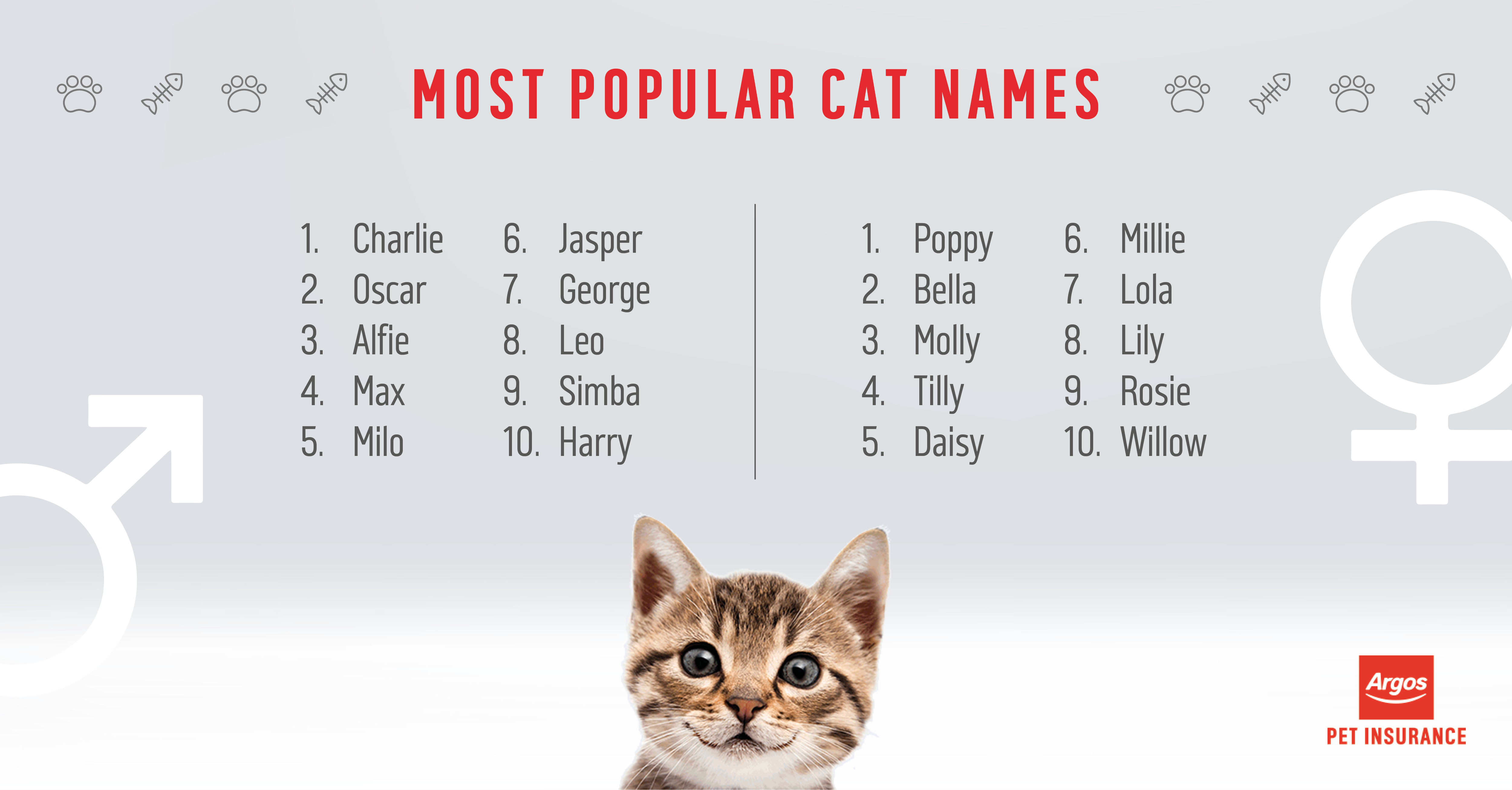 What are the most popular cat names - Argos Pet Insurance