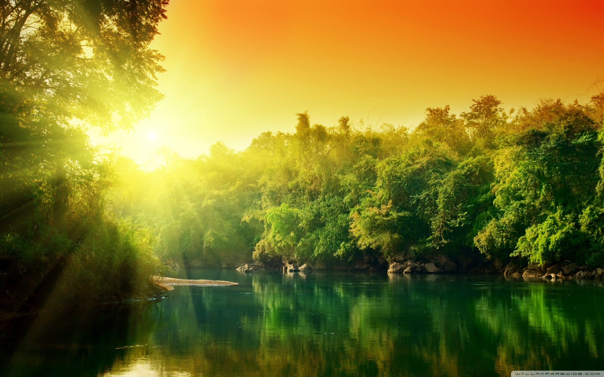 Lush Green Forest River At Sunrise ❤ 4K HD Desktop Wallpaper for 4K ...