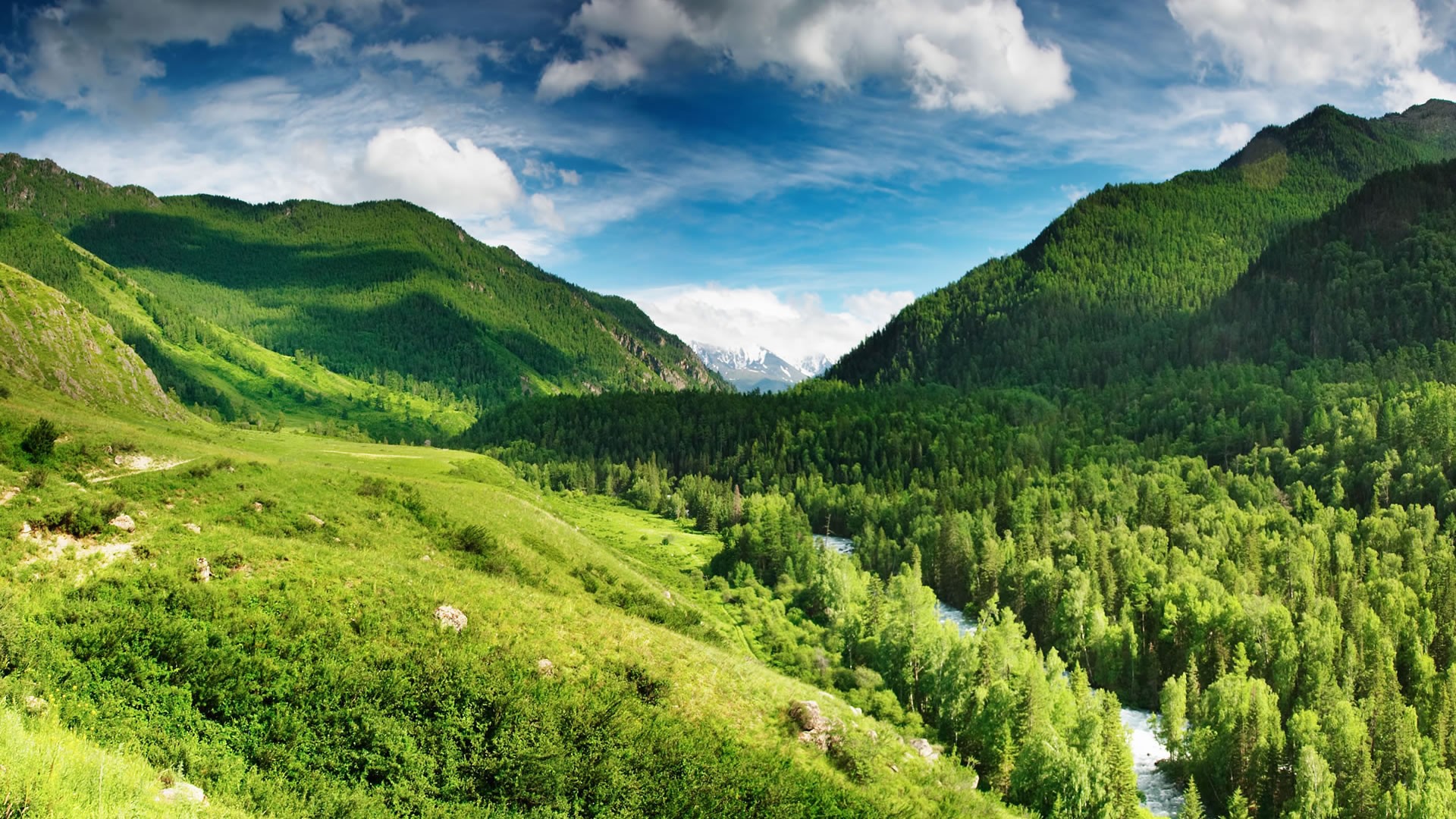Free photo: Lush Green Mountain - Forest, Green, Height - Free Download