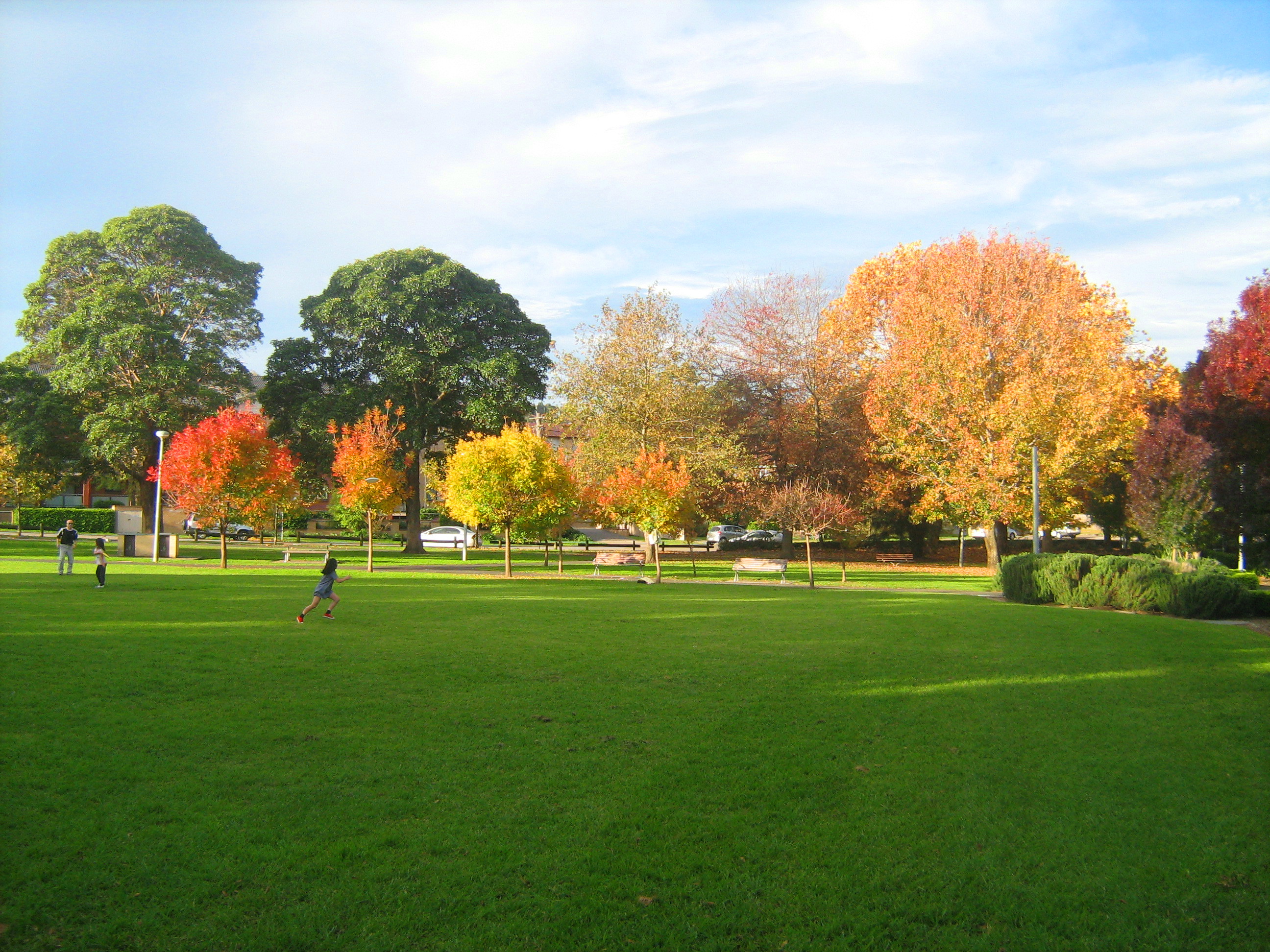 More of Anzac Park autumn colours with beautiful lush green grass ...