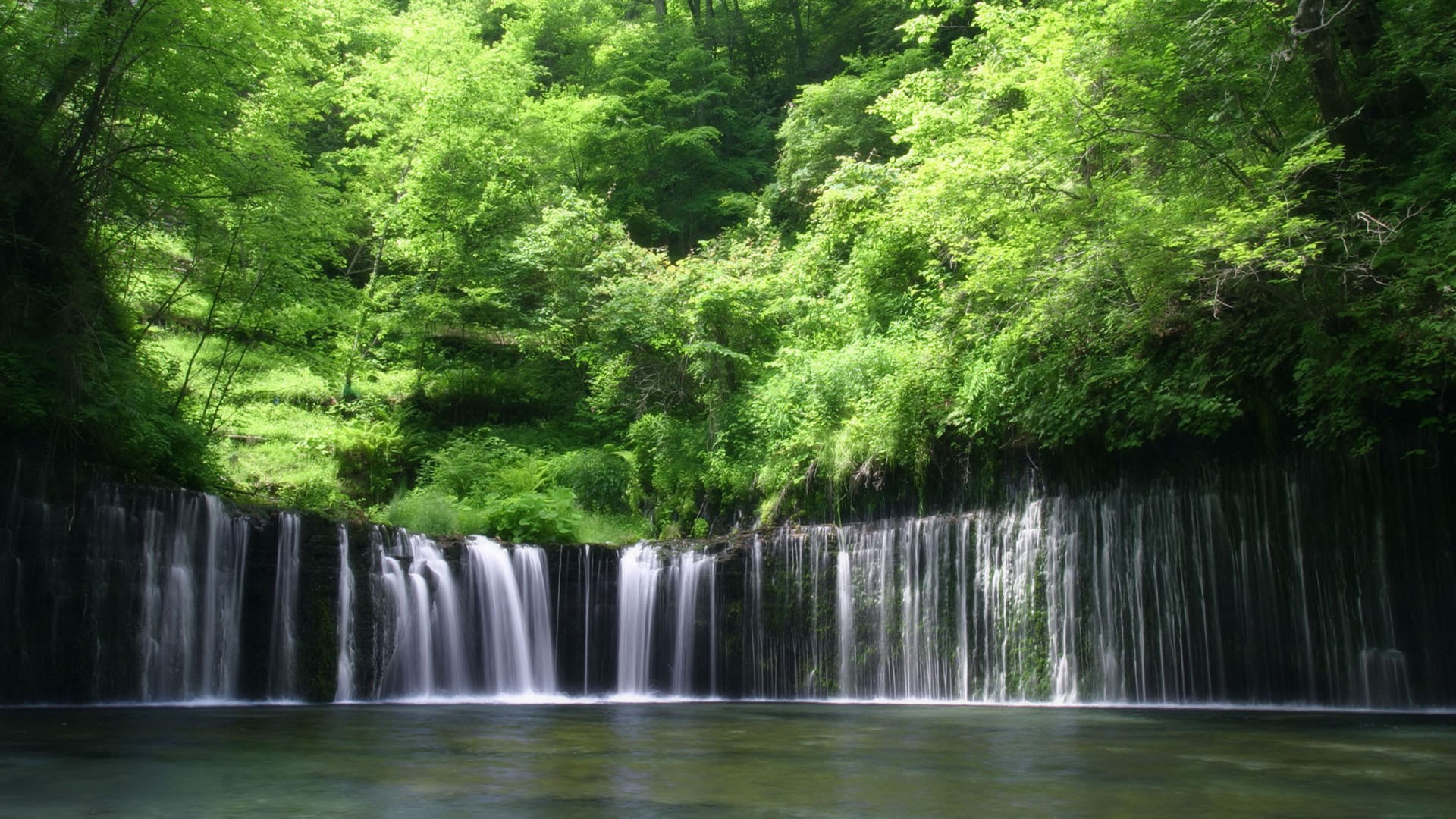 Waterfalls: Lush Waterfall Rain Forest Water Trees Nature Creek ...