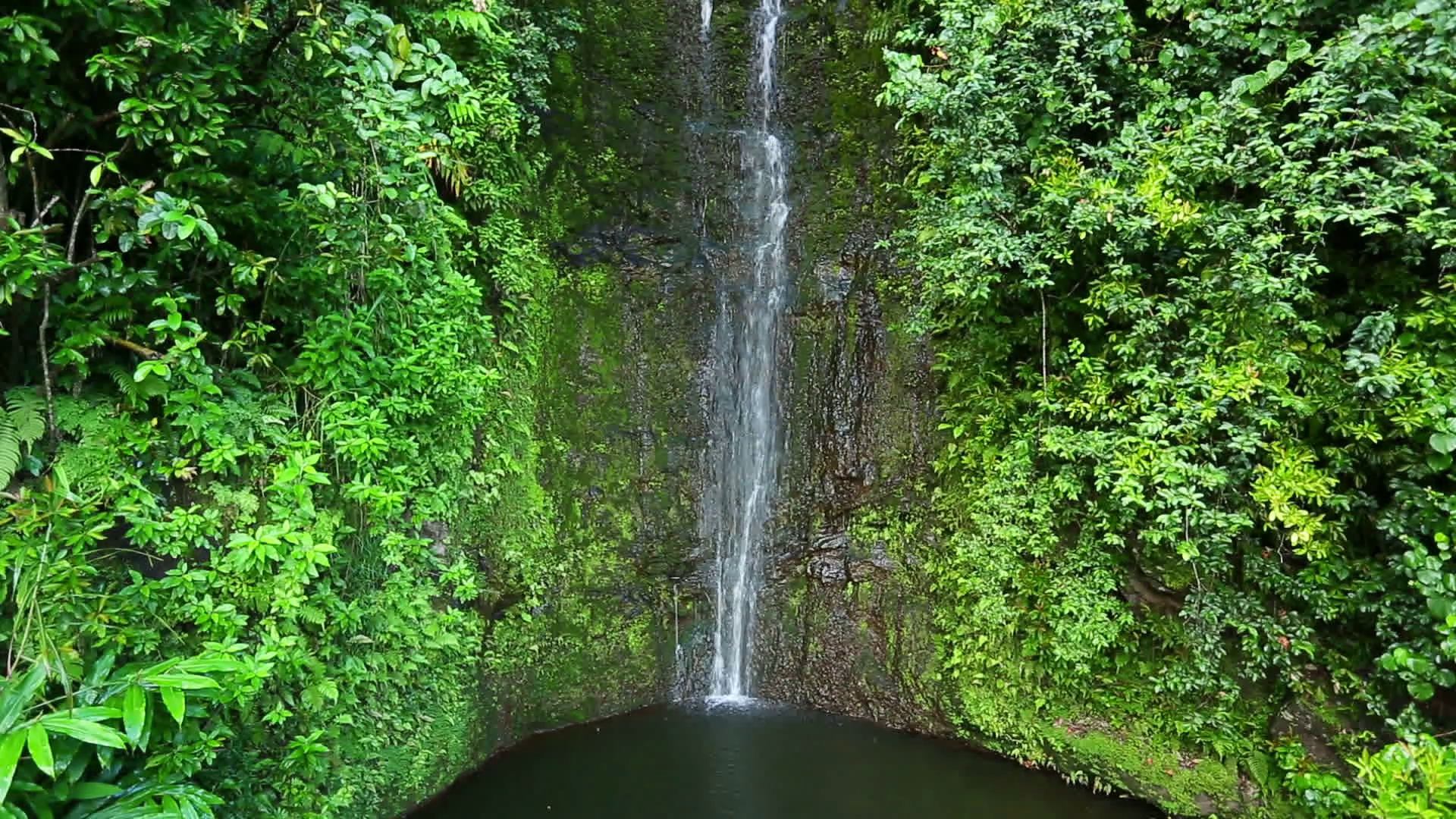Beautiful Lush Waterfall in Hawaii Stock Video Footage - Videoblocks