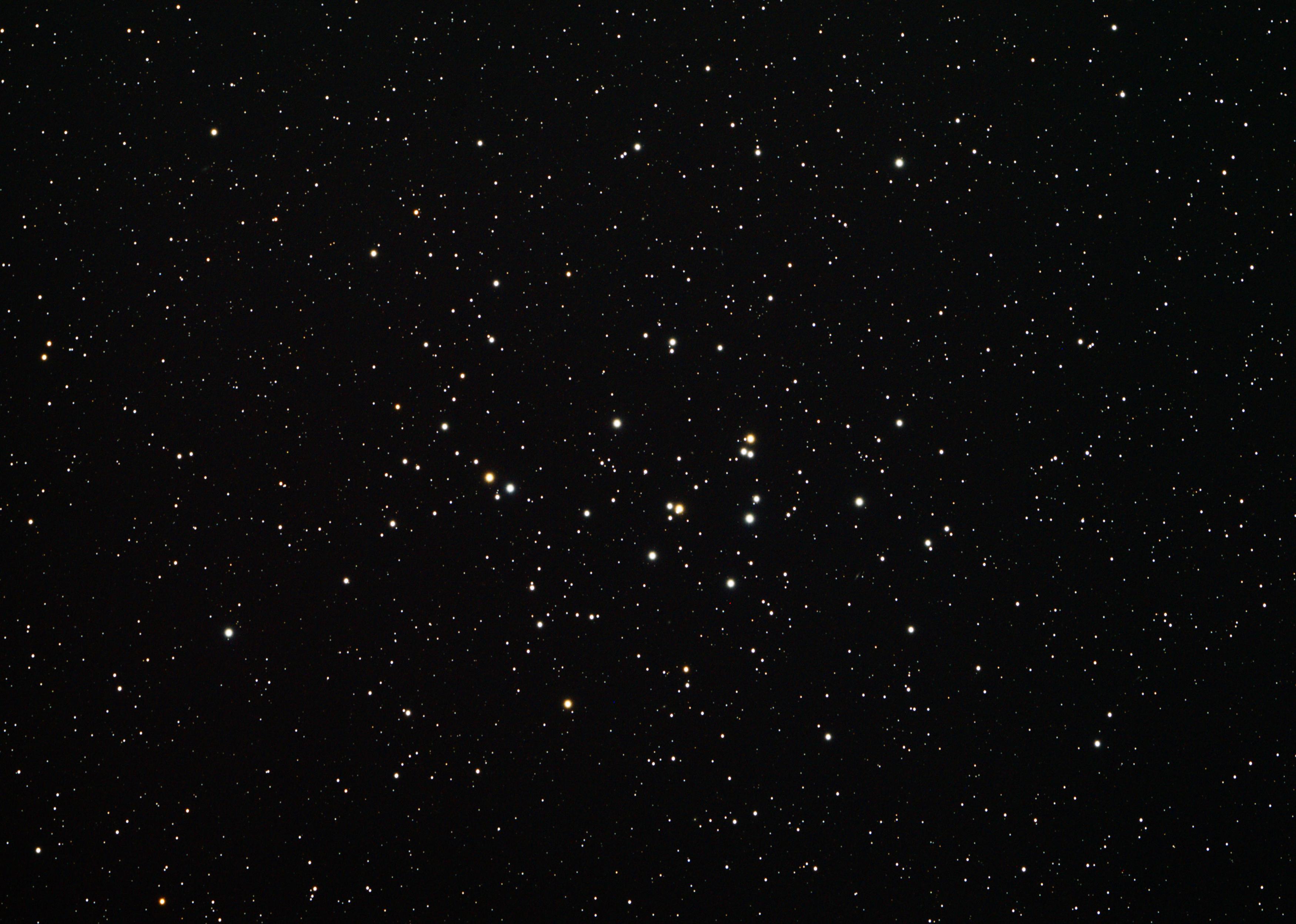 M 44 praesepe beehive cluster photo