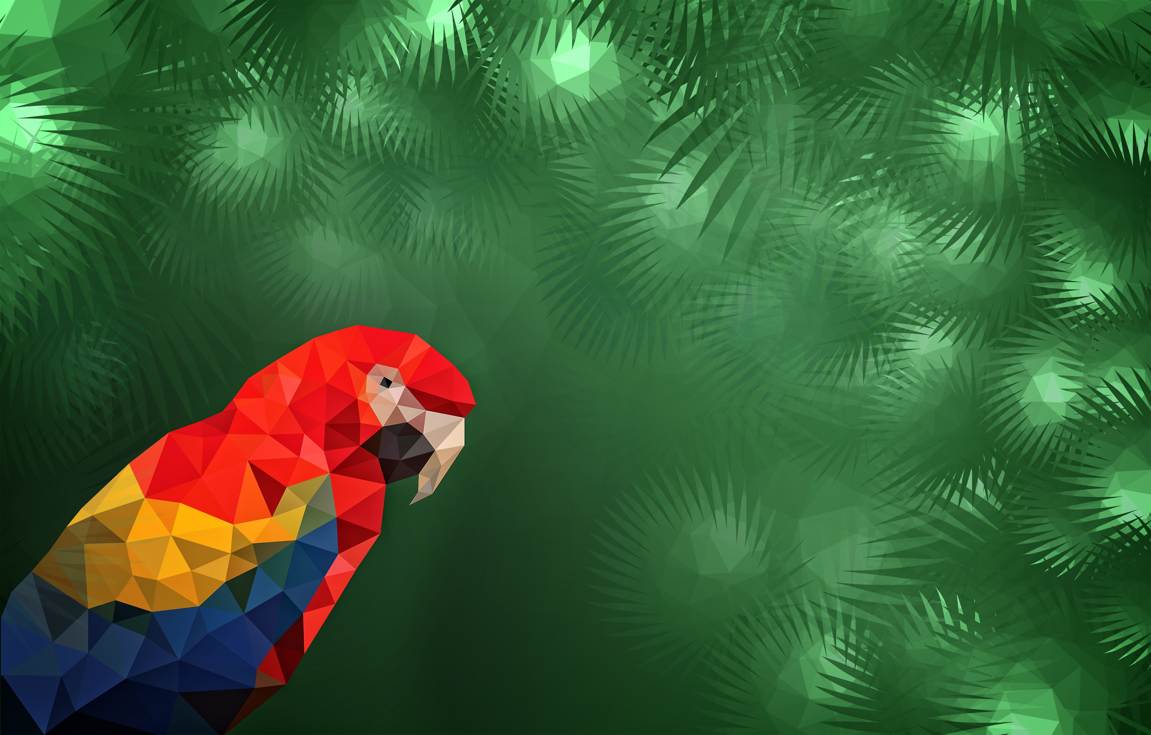 Macaw in the Jungle with Copyspace, Abstract, Outdoor, Poly, Plumage, HQ Photo