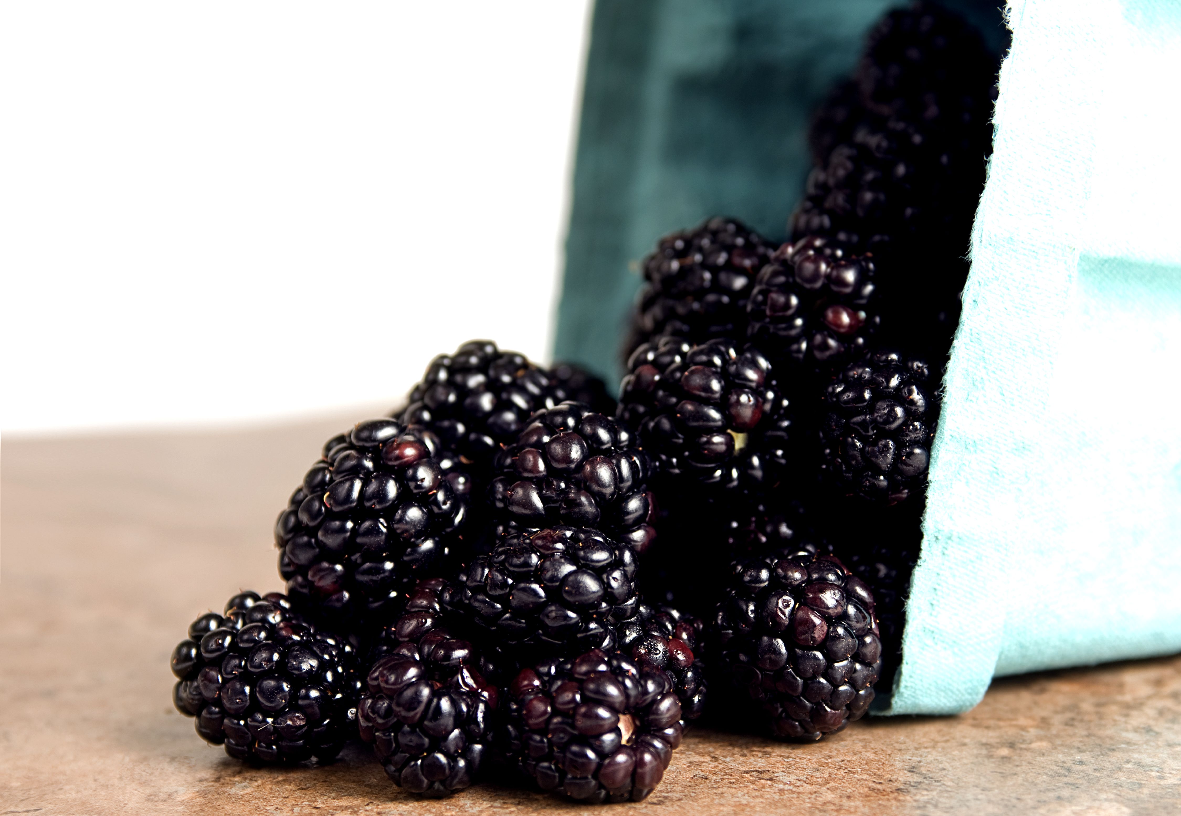 Free picture: container, blackberries, up-close, macro