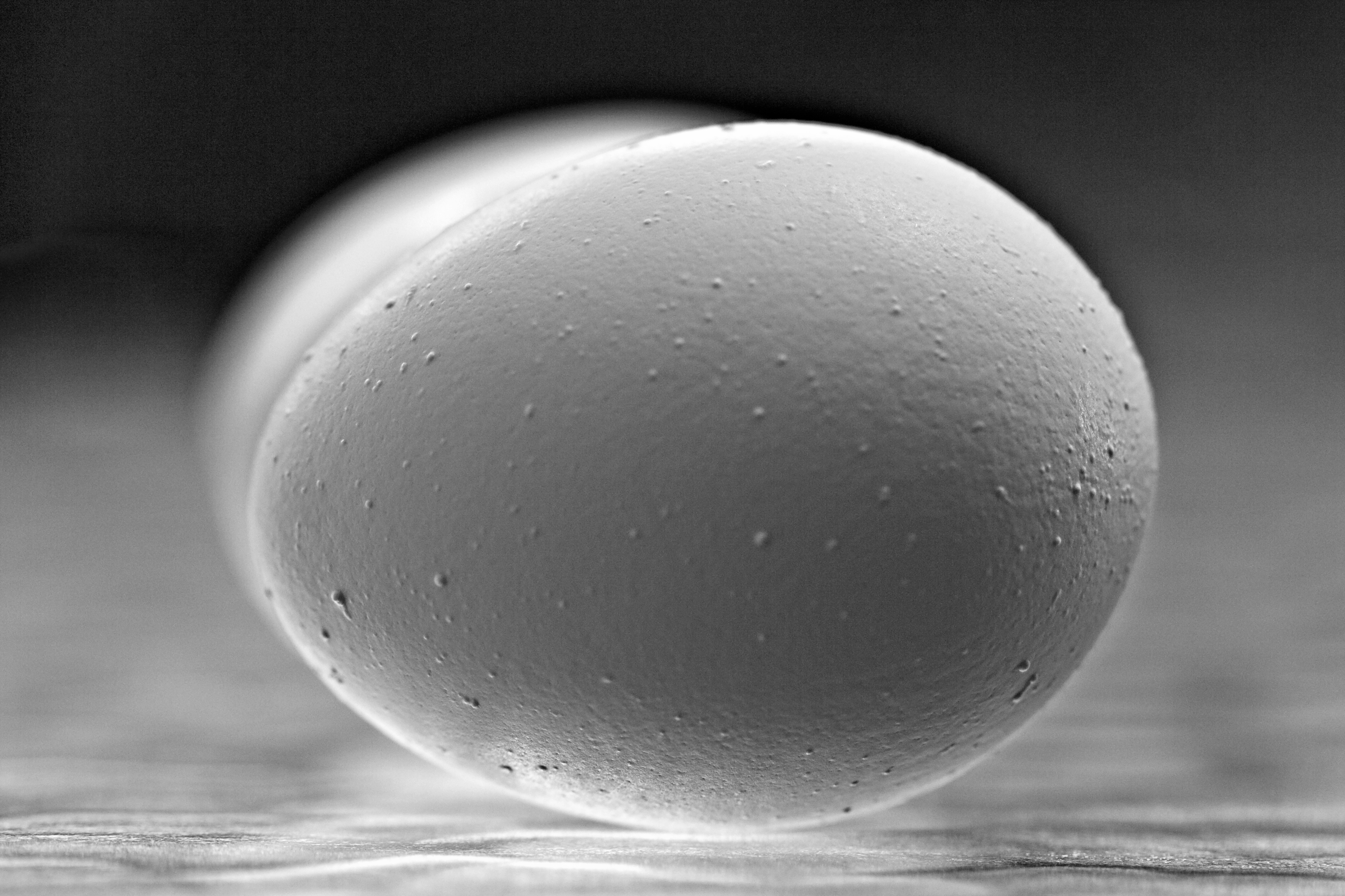 egg – A Matter Of How You See It Photography