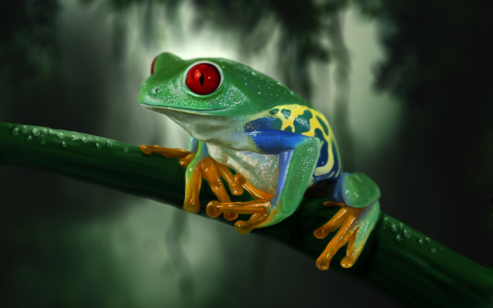 Art frog stem red eyes drops dew macro wallpaper | 1920x1200 | 58059 ...