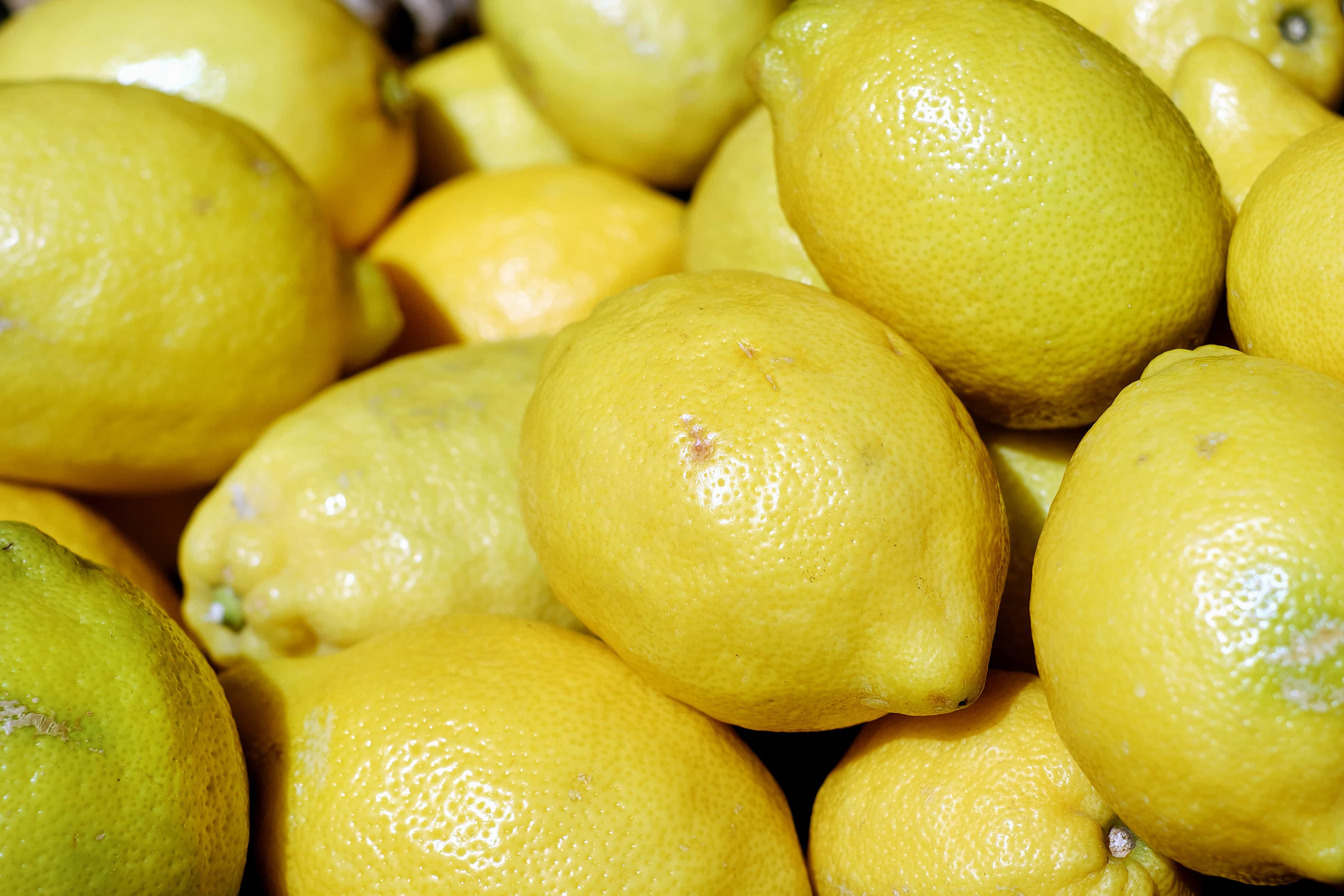 Free picture: lemon, fruit, food, citrus, diet, macro