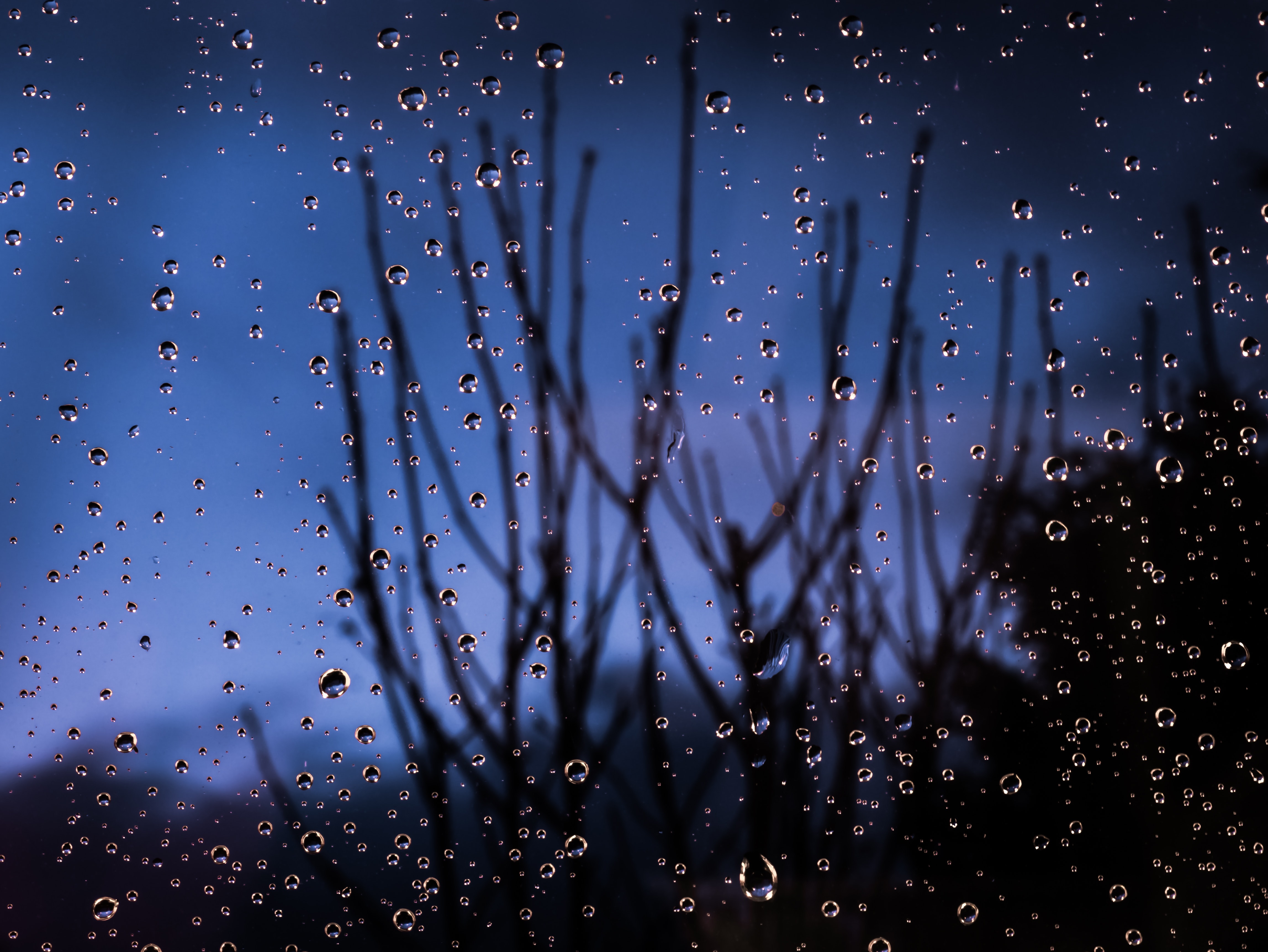 Macro Photography of Water Dew, Blue, Macro, Wet, Weather, HQ Photo