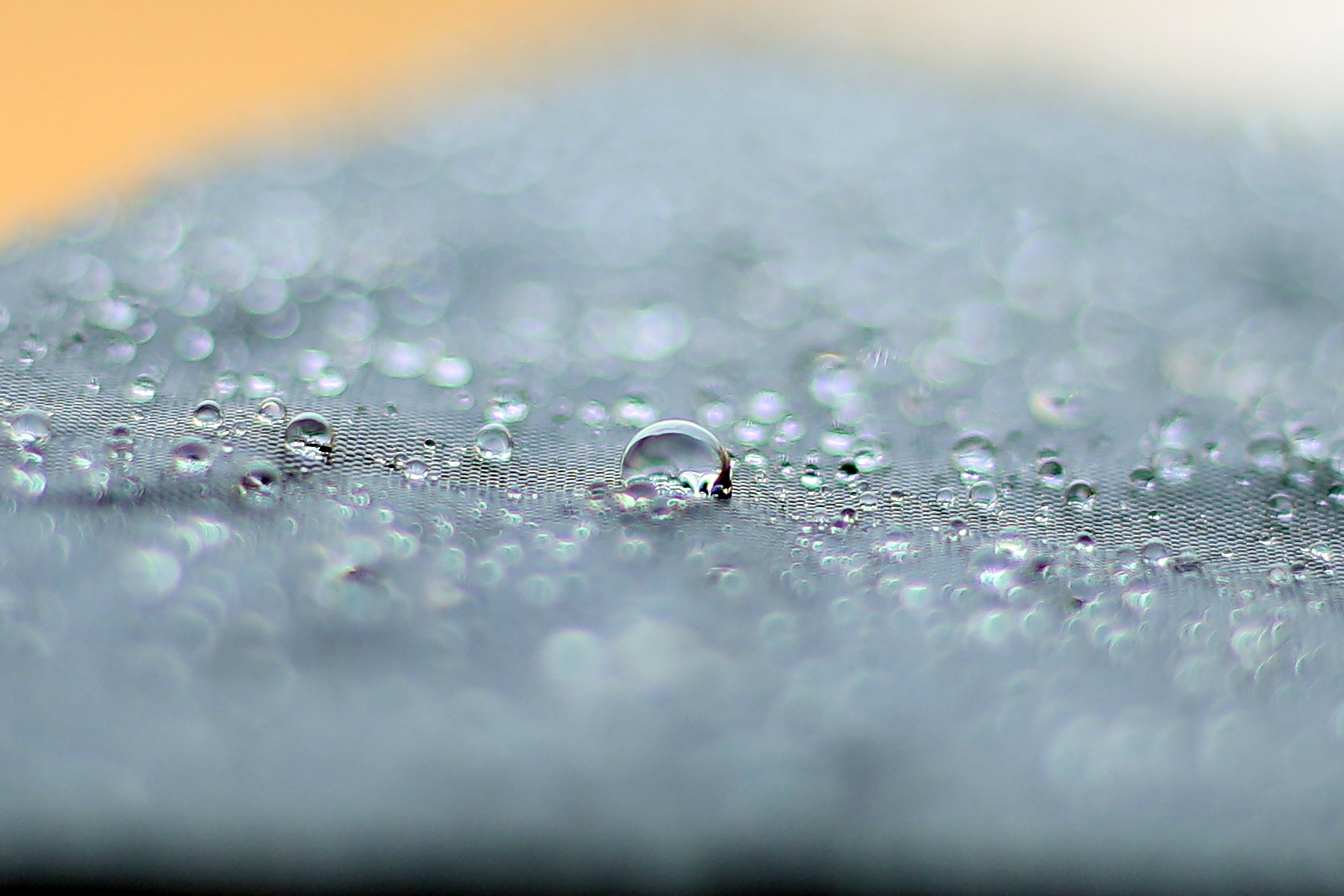 Macro photography of water droplets