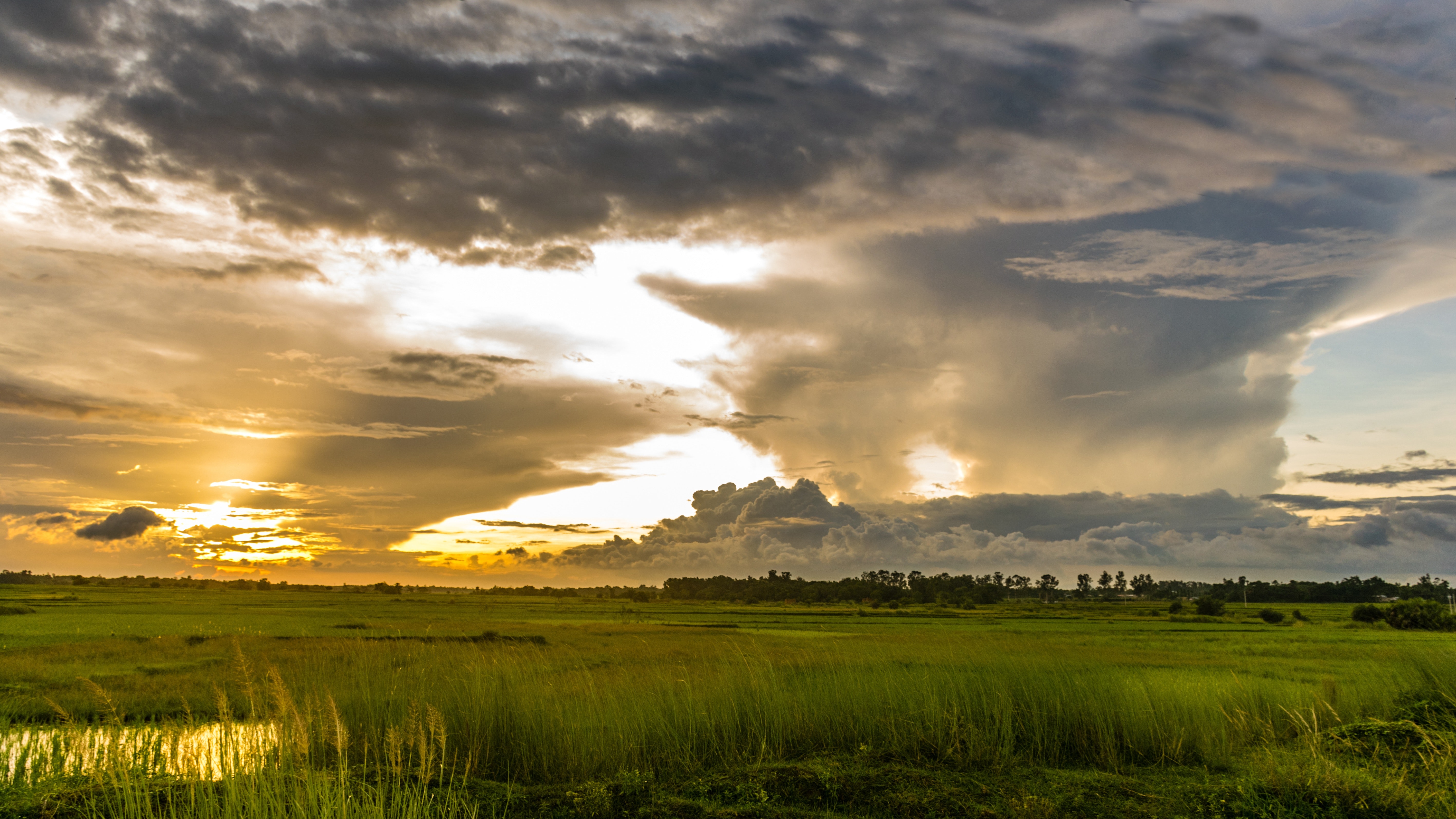 Macro shot of green grass field under cloudy sky during sunset photo