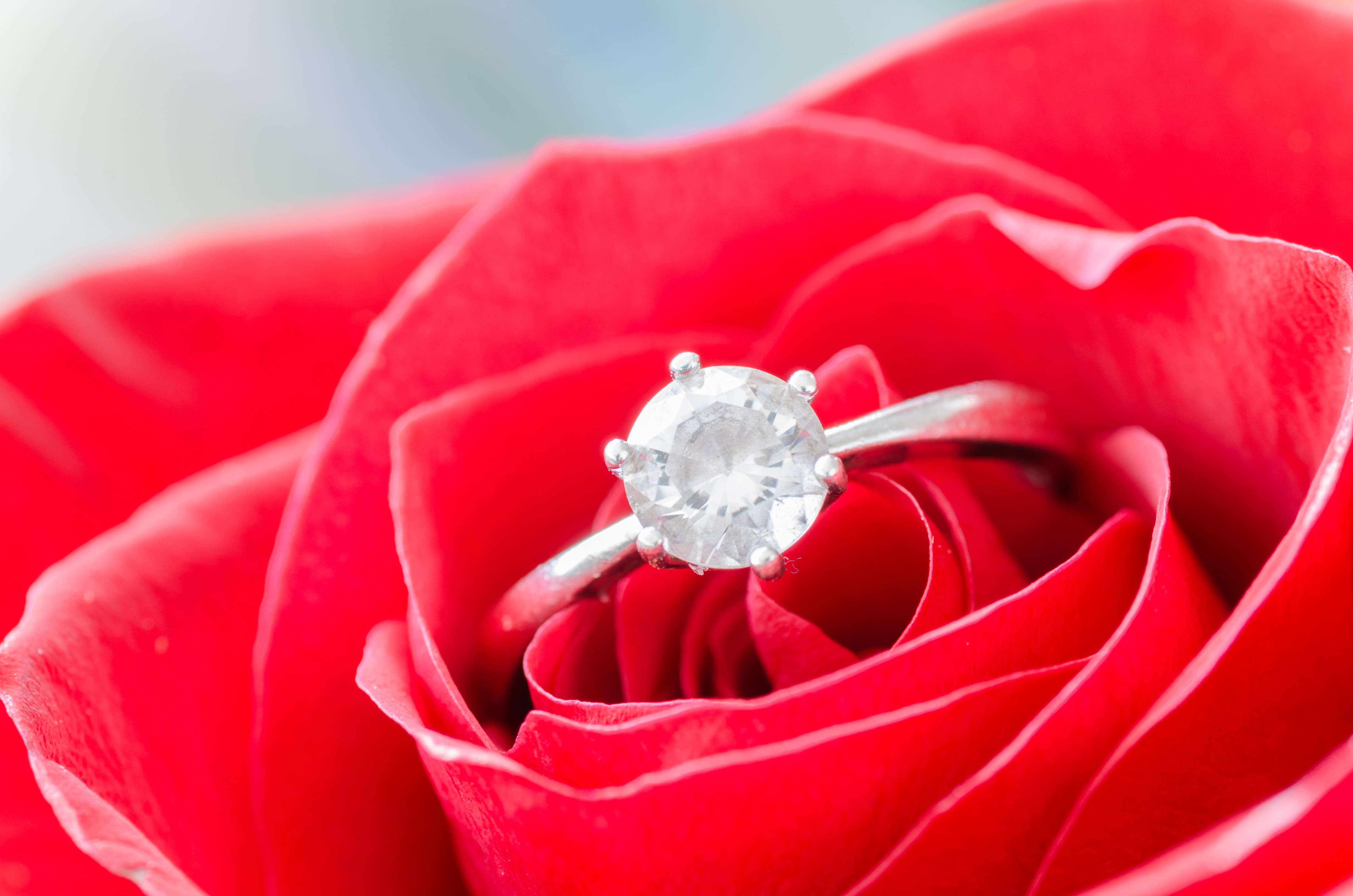 Macro shot of solitaire ring on flower photo