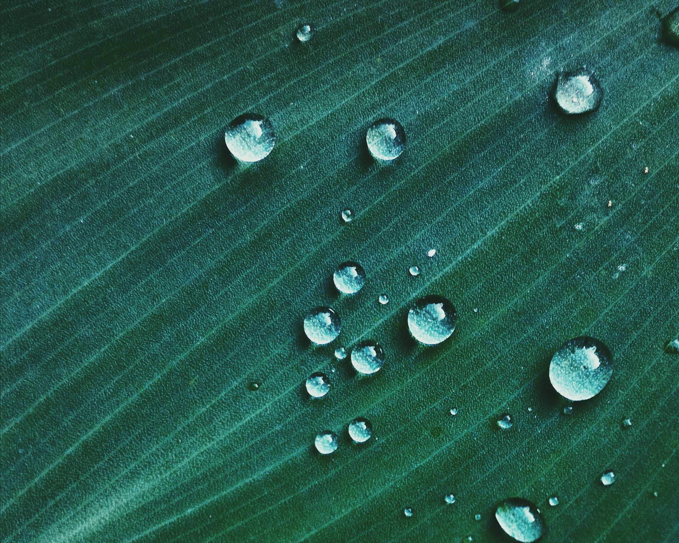 Macro shot of water drop on green textile photo