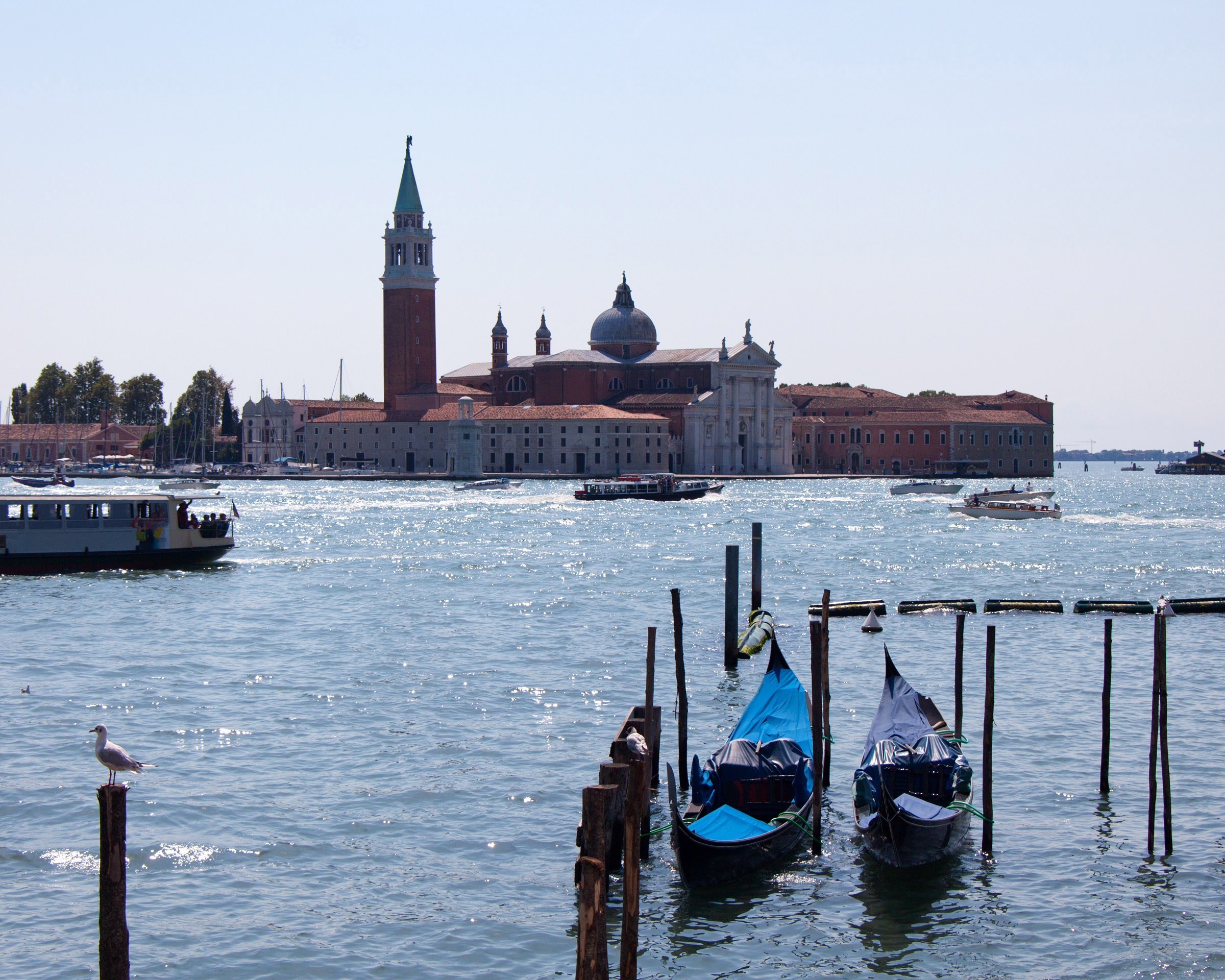 Maggiore and gondolas, Adriatic, Motion, Venice, Venezia, HQ Photo