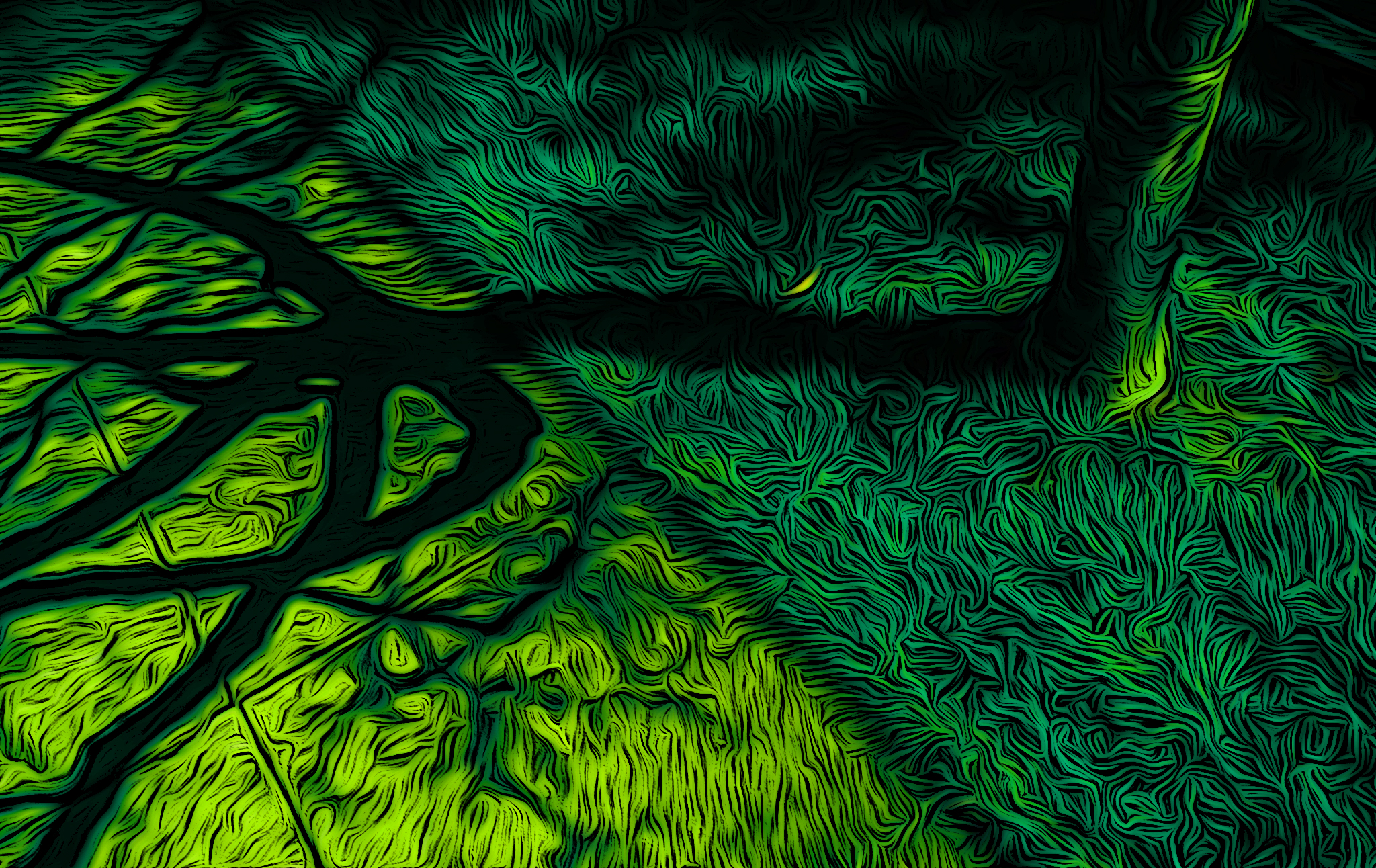Magic Tree - Files - SEATTLE ART COLONY