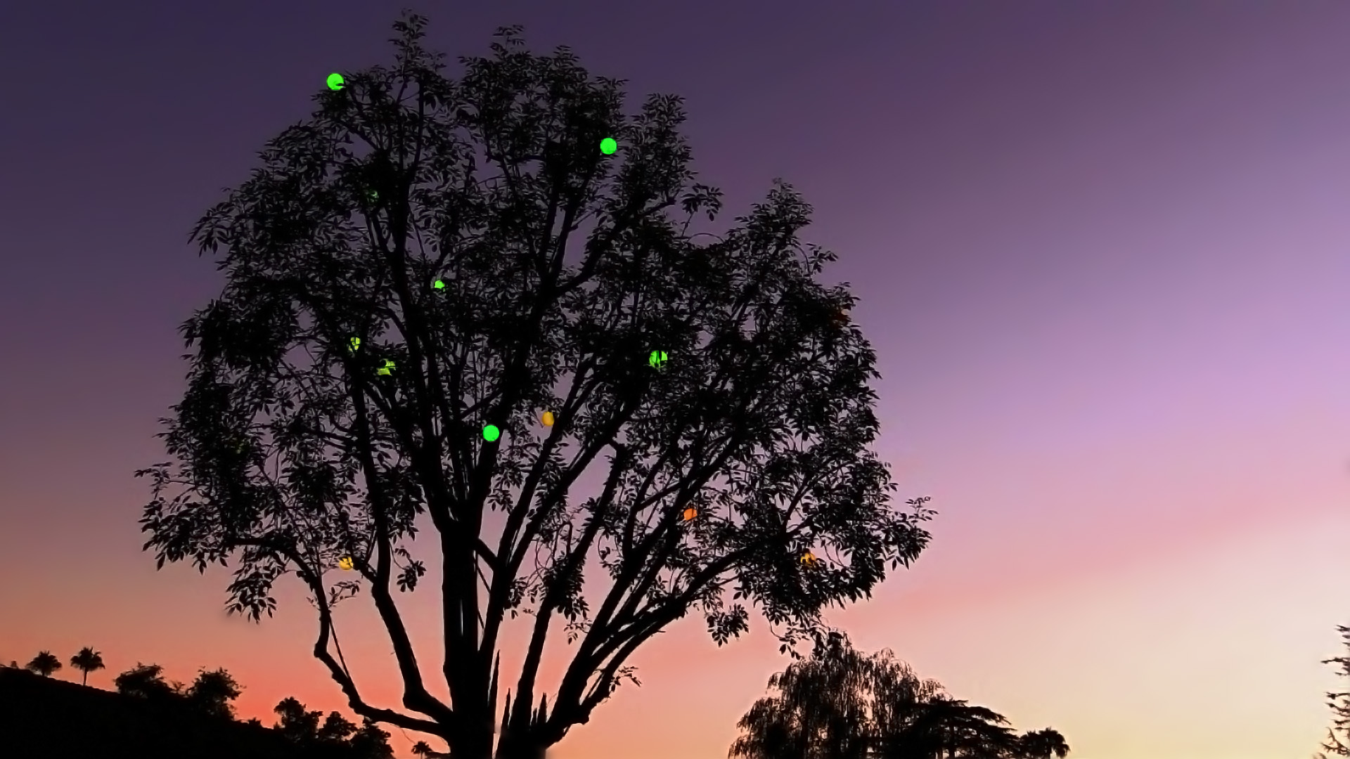 Magic Tree” light installation - Spontaneous Fantasia