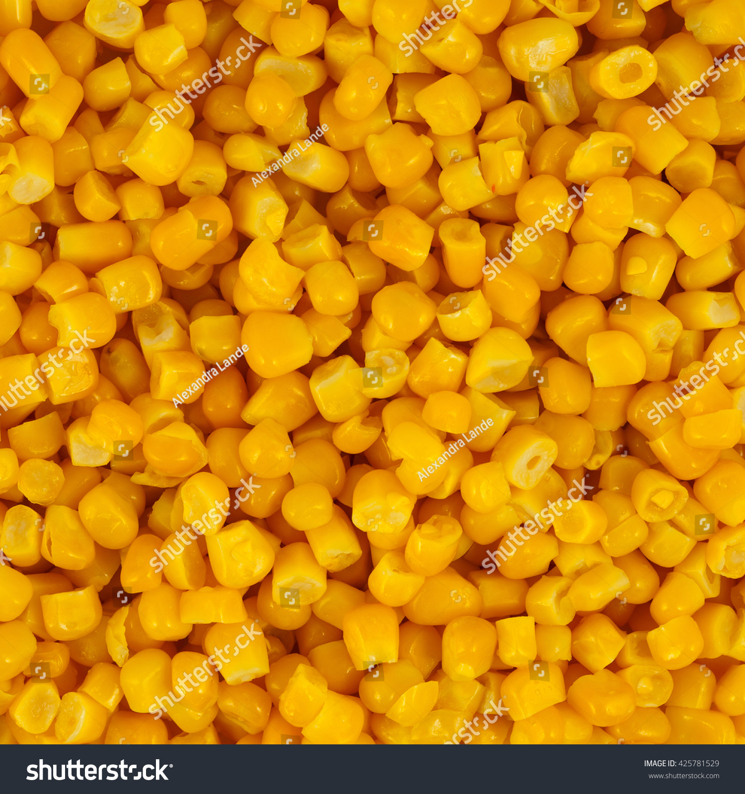 Bulk Yellow Corn Grains Texture Stock Photo 425781529 - Shutterstock