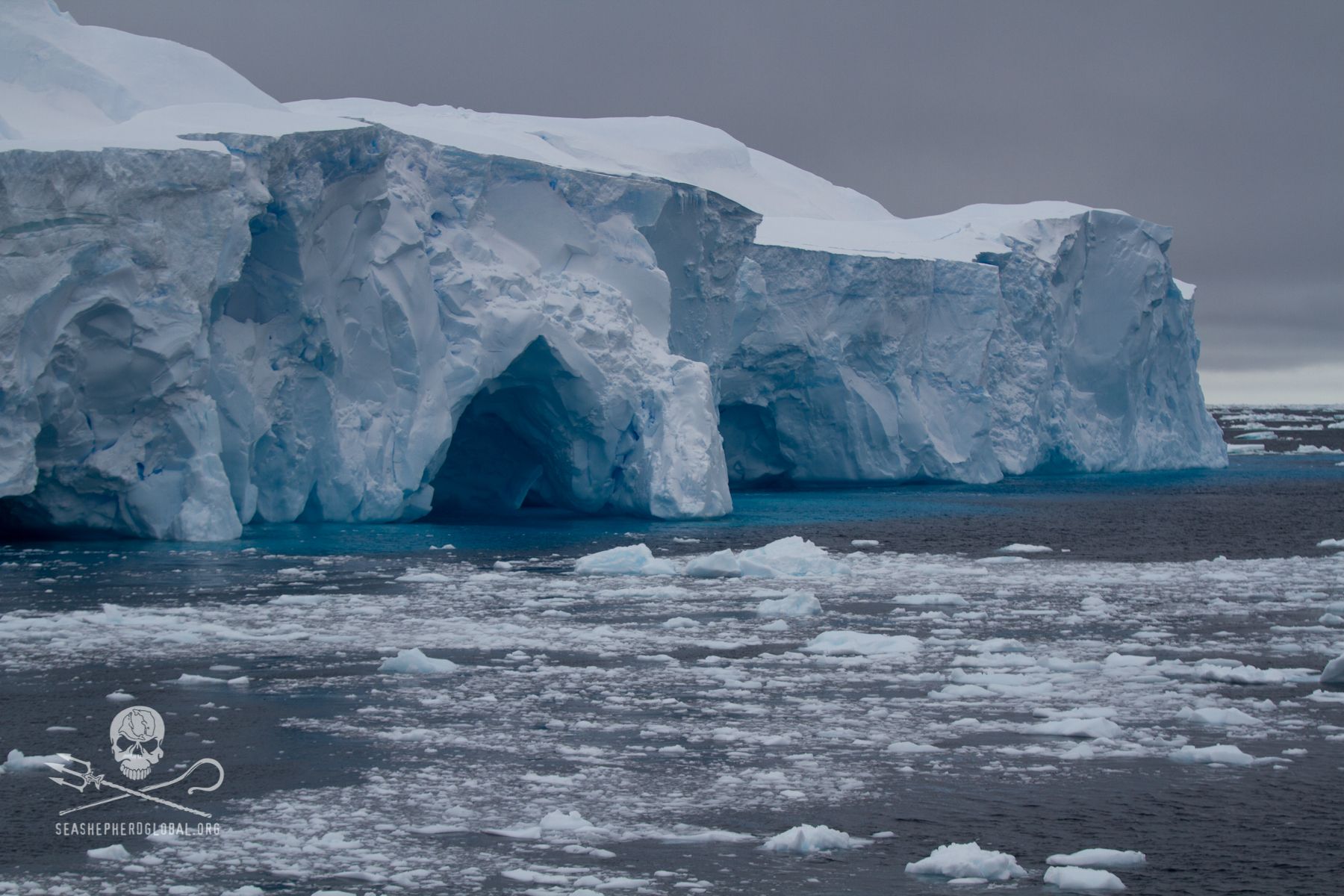 Antarctic icebergs majestic and beautiful. #seashepherd #antarctica ...