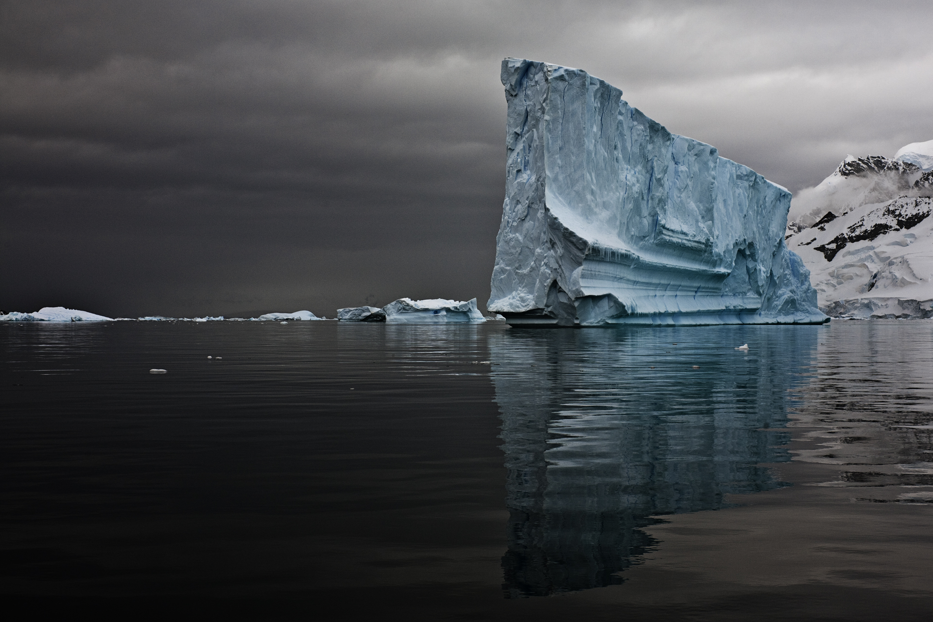 Icebergs Floating In Drift Ice II by Camille Seaman | Susan Spiritus ...