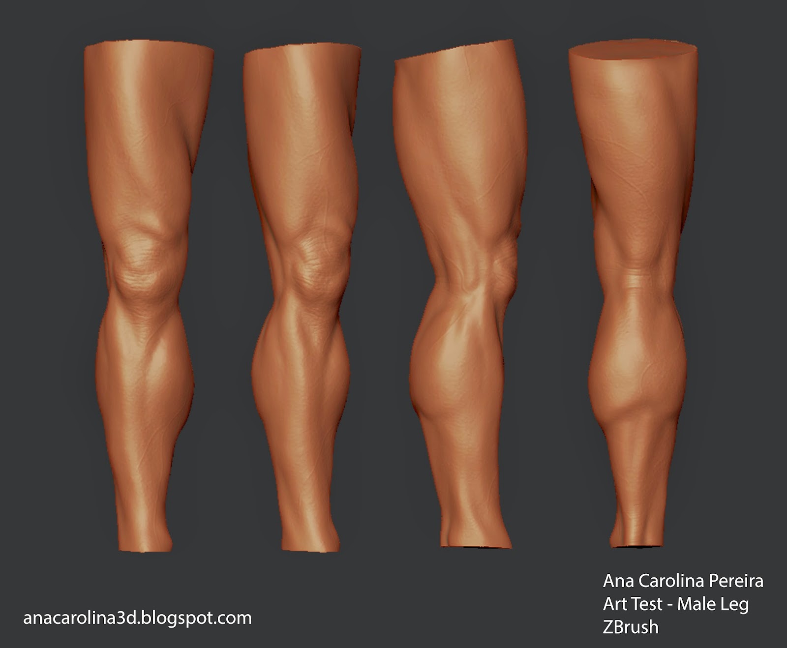 Male Leg Anatomy Study - ZBrush - Ana Carolina Pereira | Z Brush ...