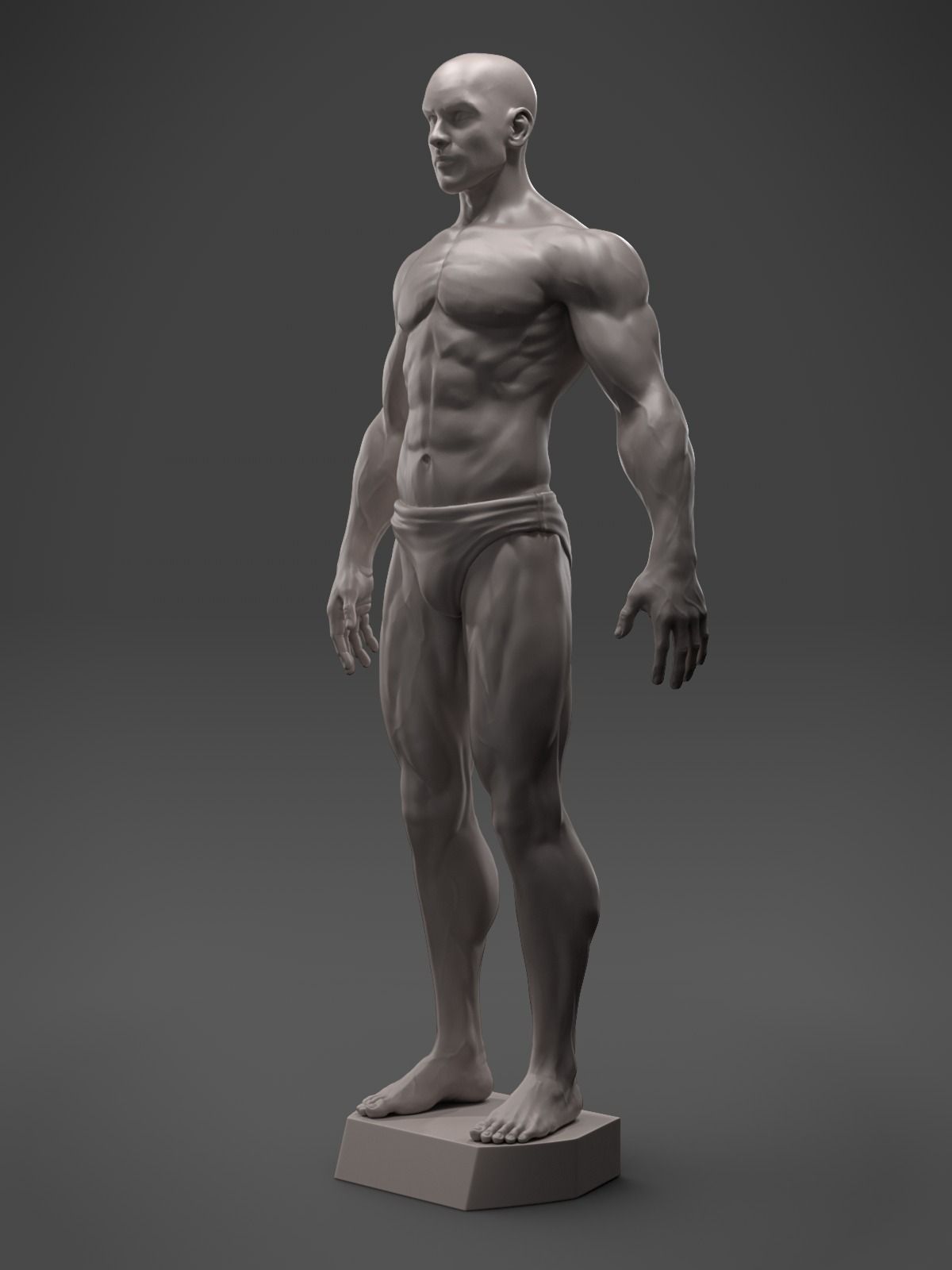 3D print model Male Anatomy Sculpture | CGTrader