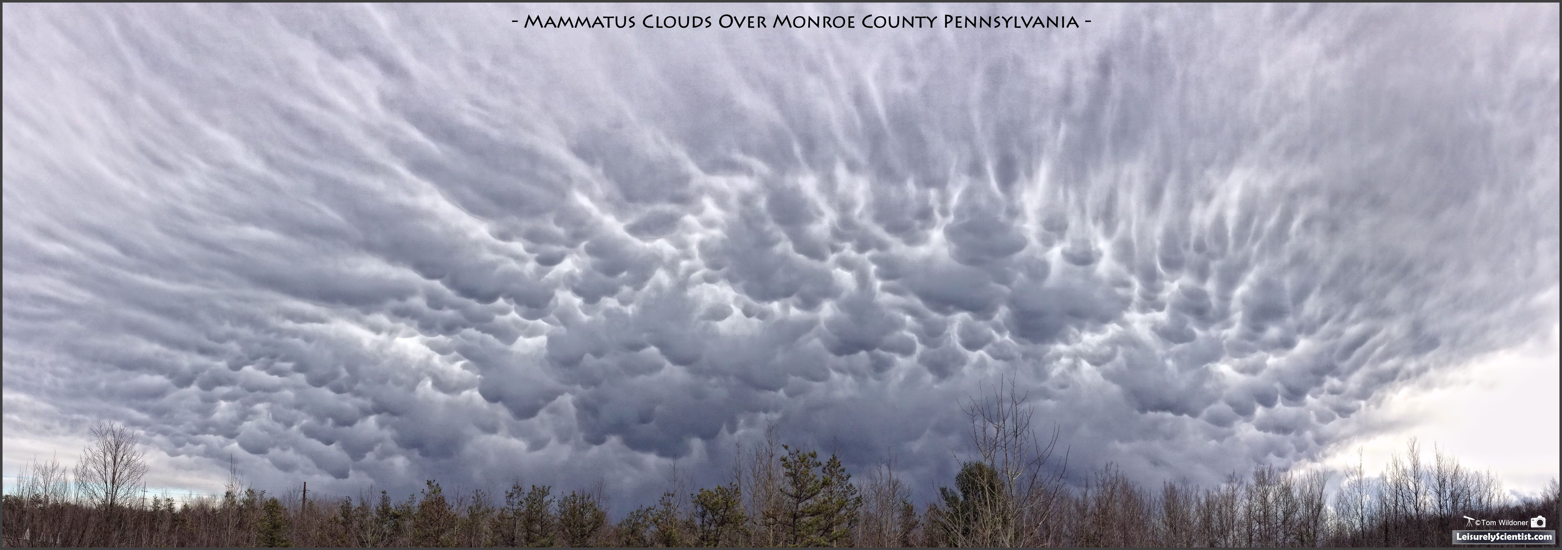 Mammatus clouds photo