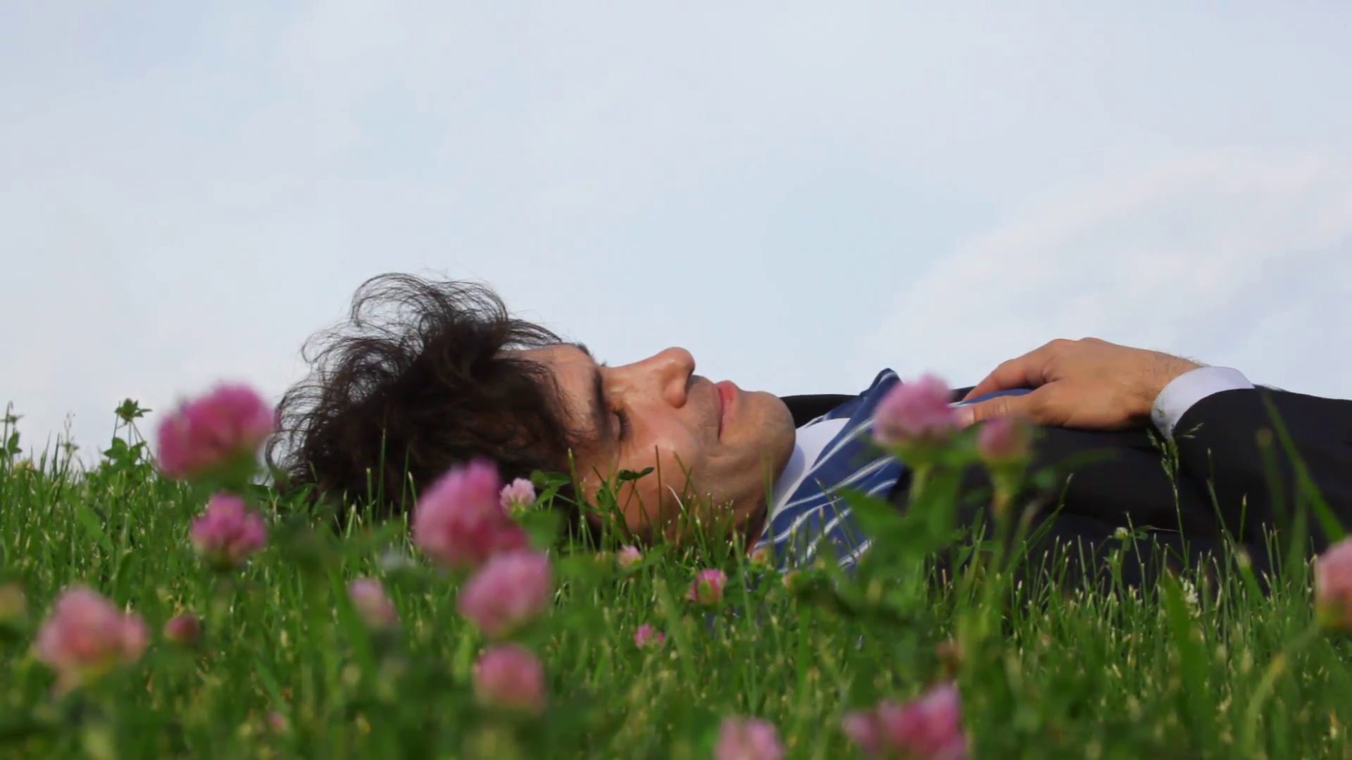 happy handsome man lying on green grass and field flowers Stock ...