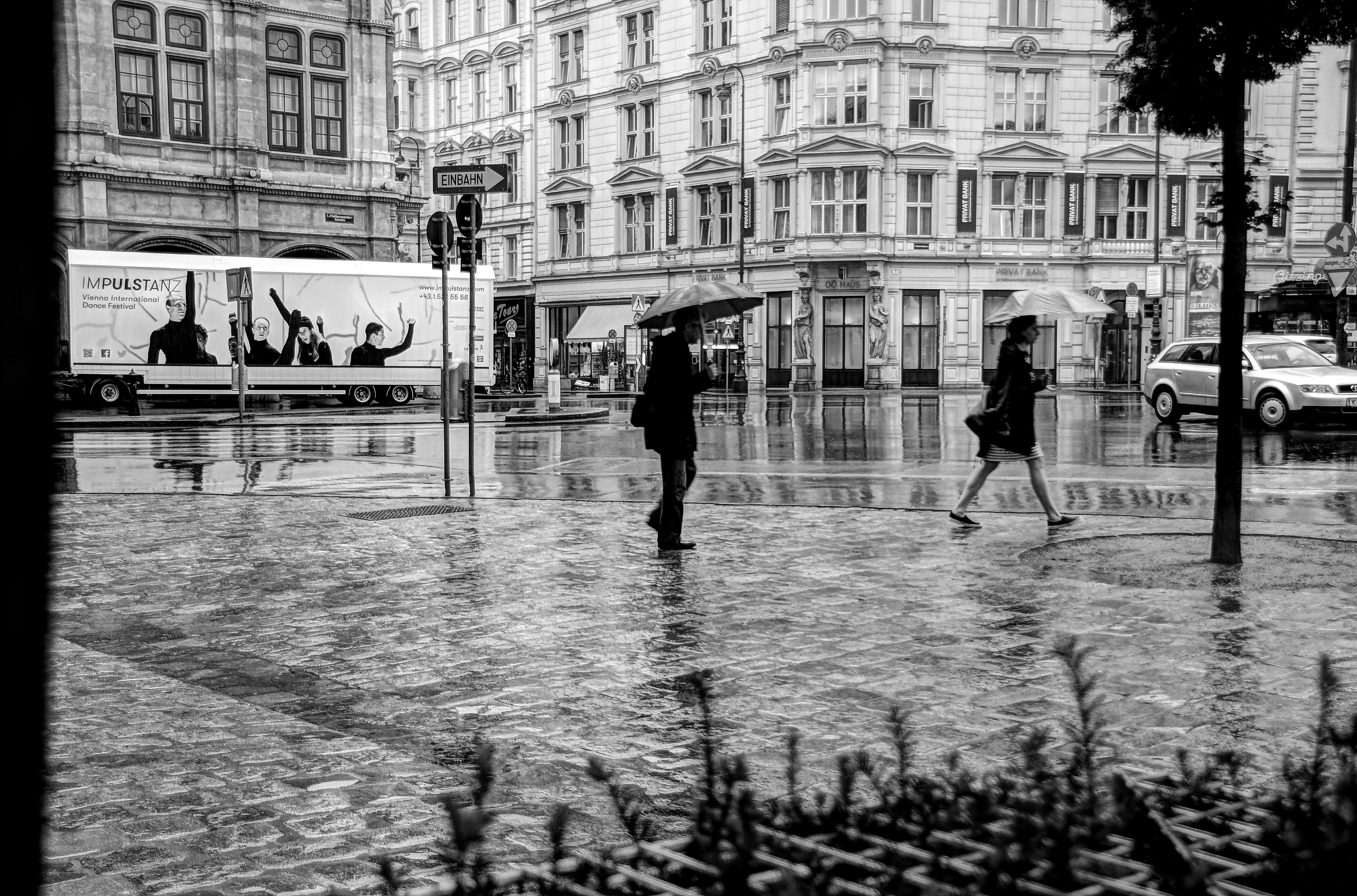 Man and woman walking on road while holding umbrella photo