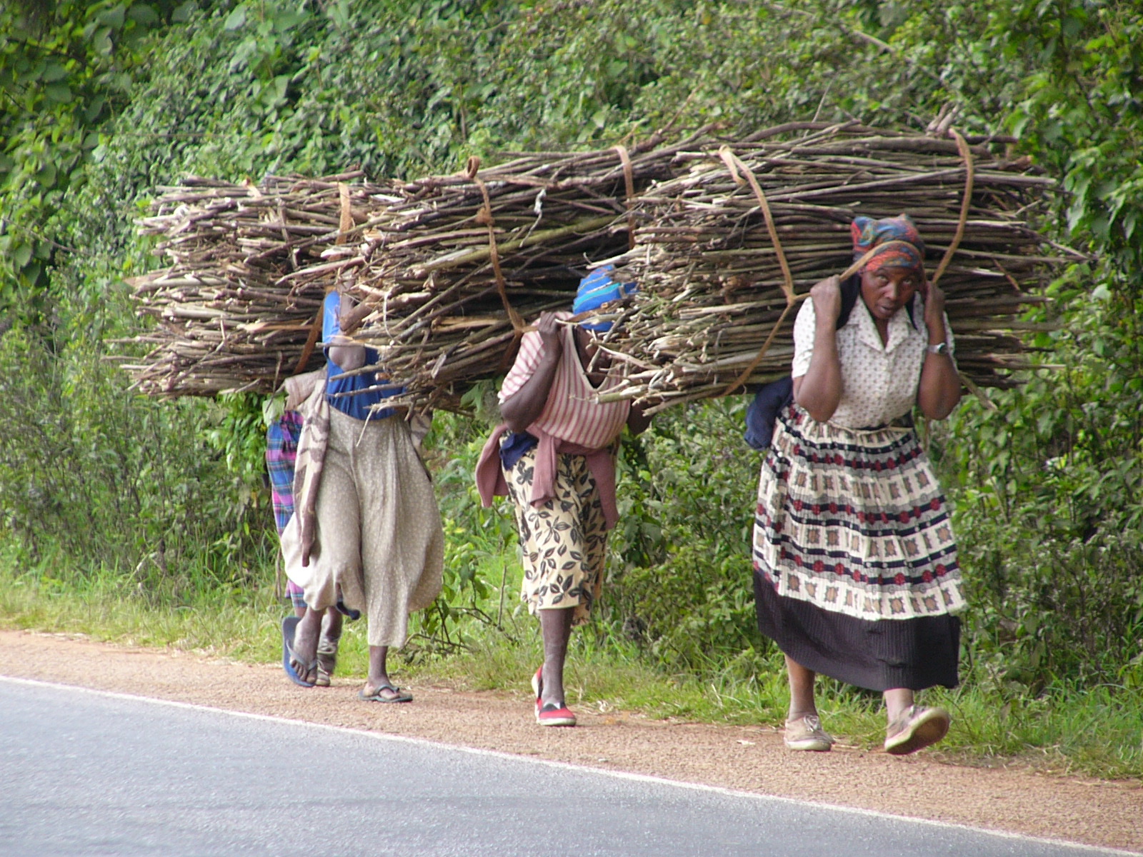 File:AFRICAN WOMEN CARRING FIREWOOD.jpg - Wikimedia Commons