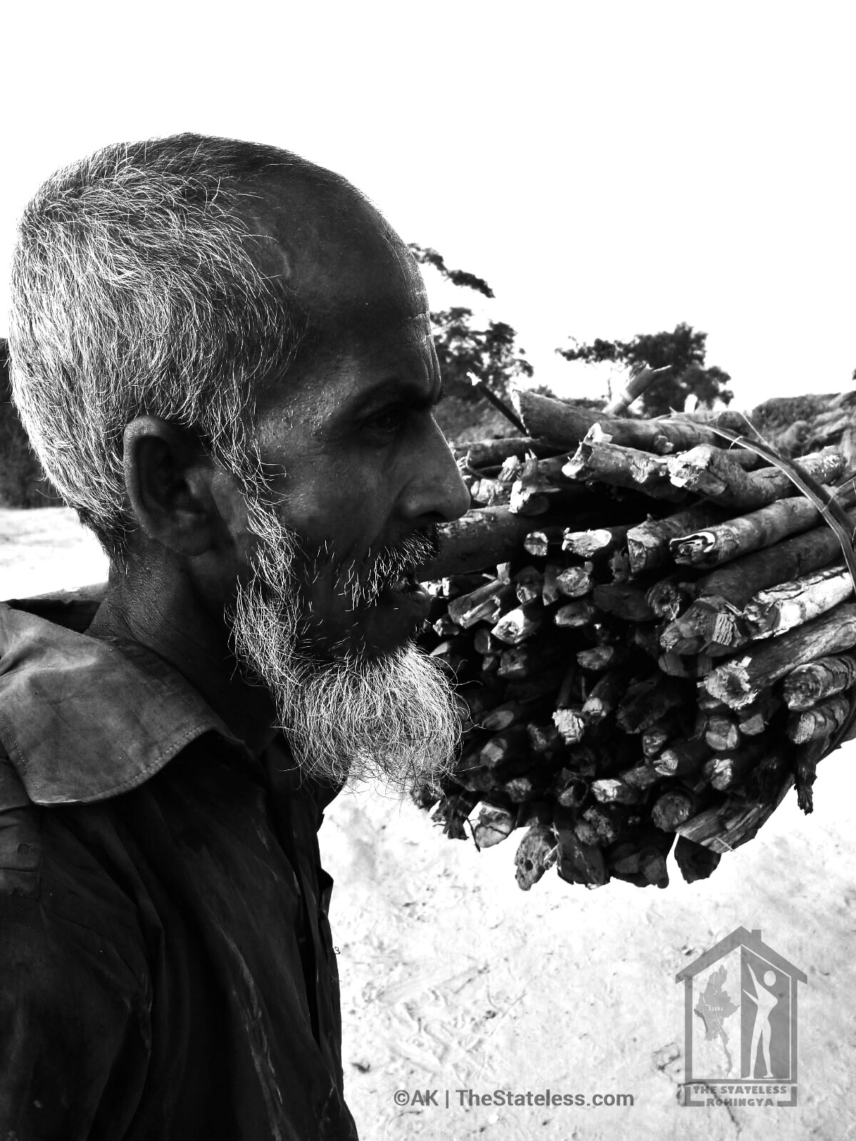 old man carrying firewoods | The Stateless Rohingya