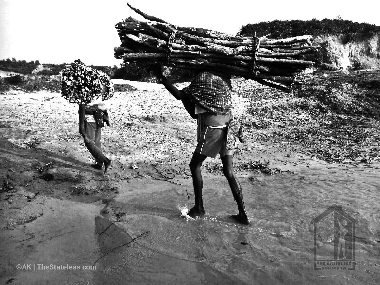 Men carrying firewoods | The Stateless Rohingya