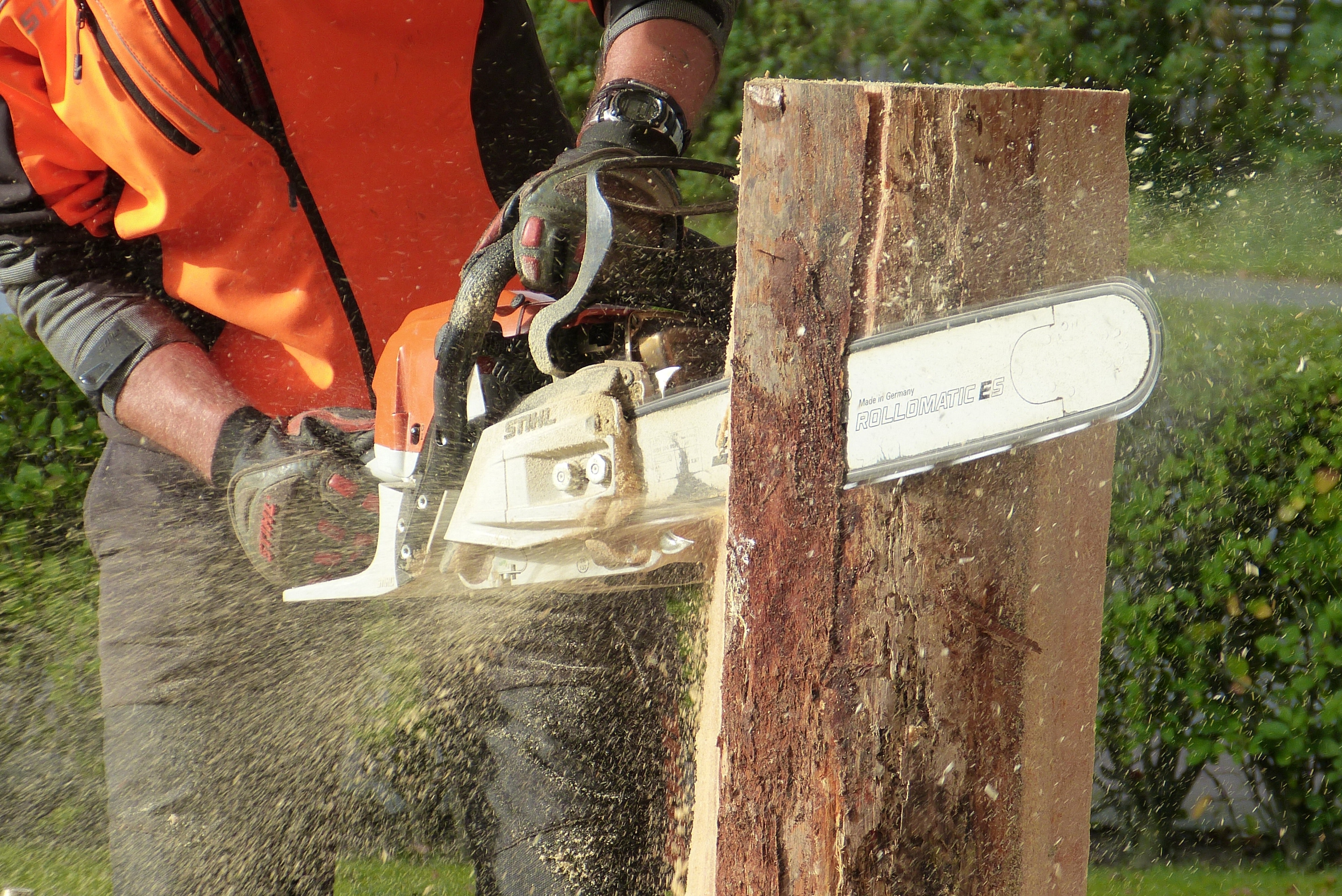 Man cutting tress using chainsaw photo