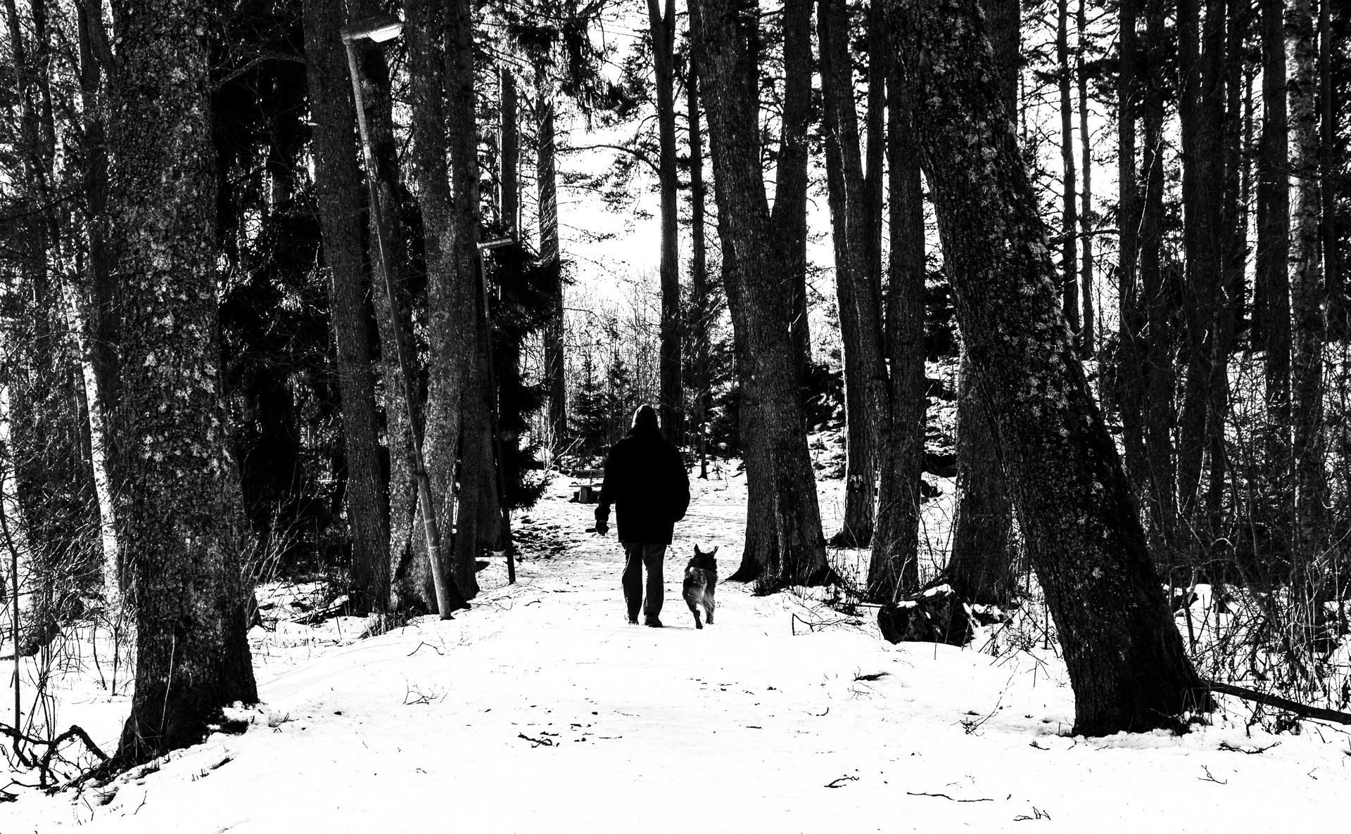 Winter: Snow WalkerZ Walkers Winter Day Walking Walk Jungle Man Dog ...