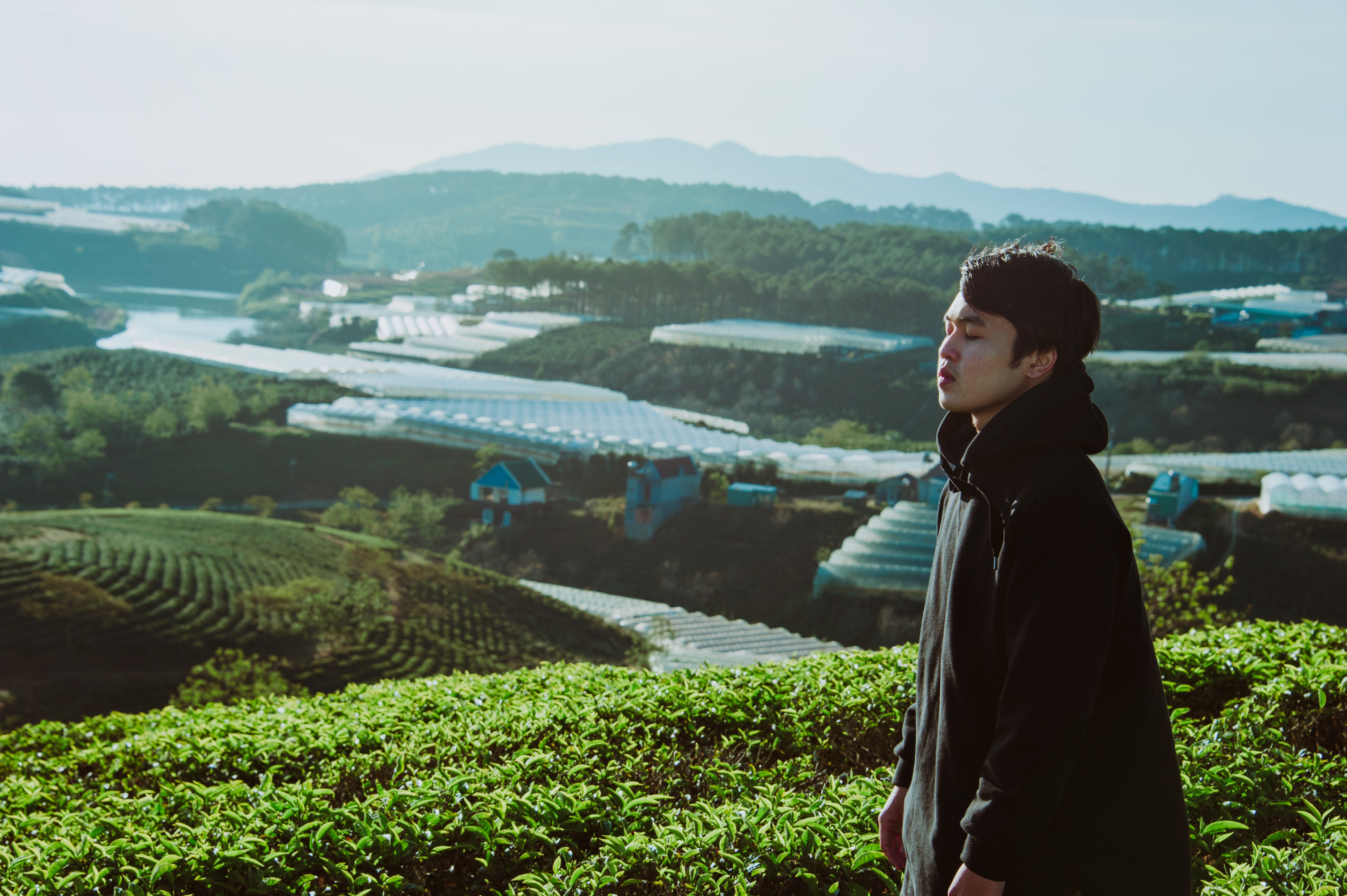 Man in Black Pullover Hoodie Standing Near Green Leaf Field, Asian, Scenic, Plants, Person, HQ Photo