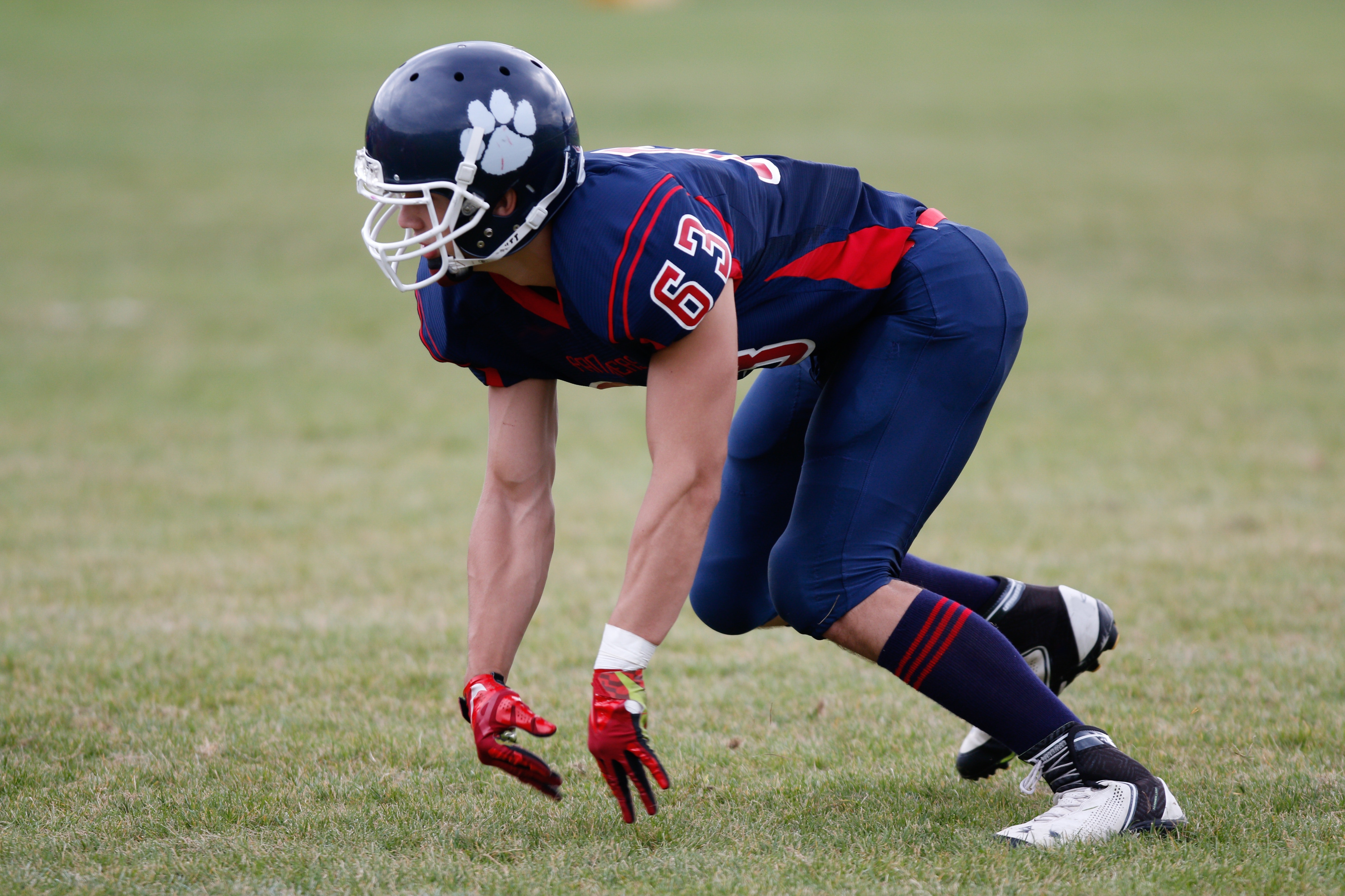 Man in blue american football suit on green grass field photo