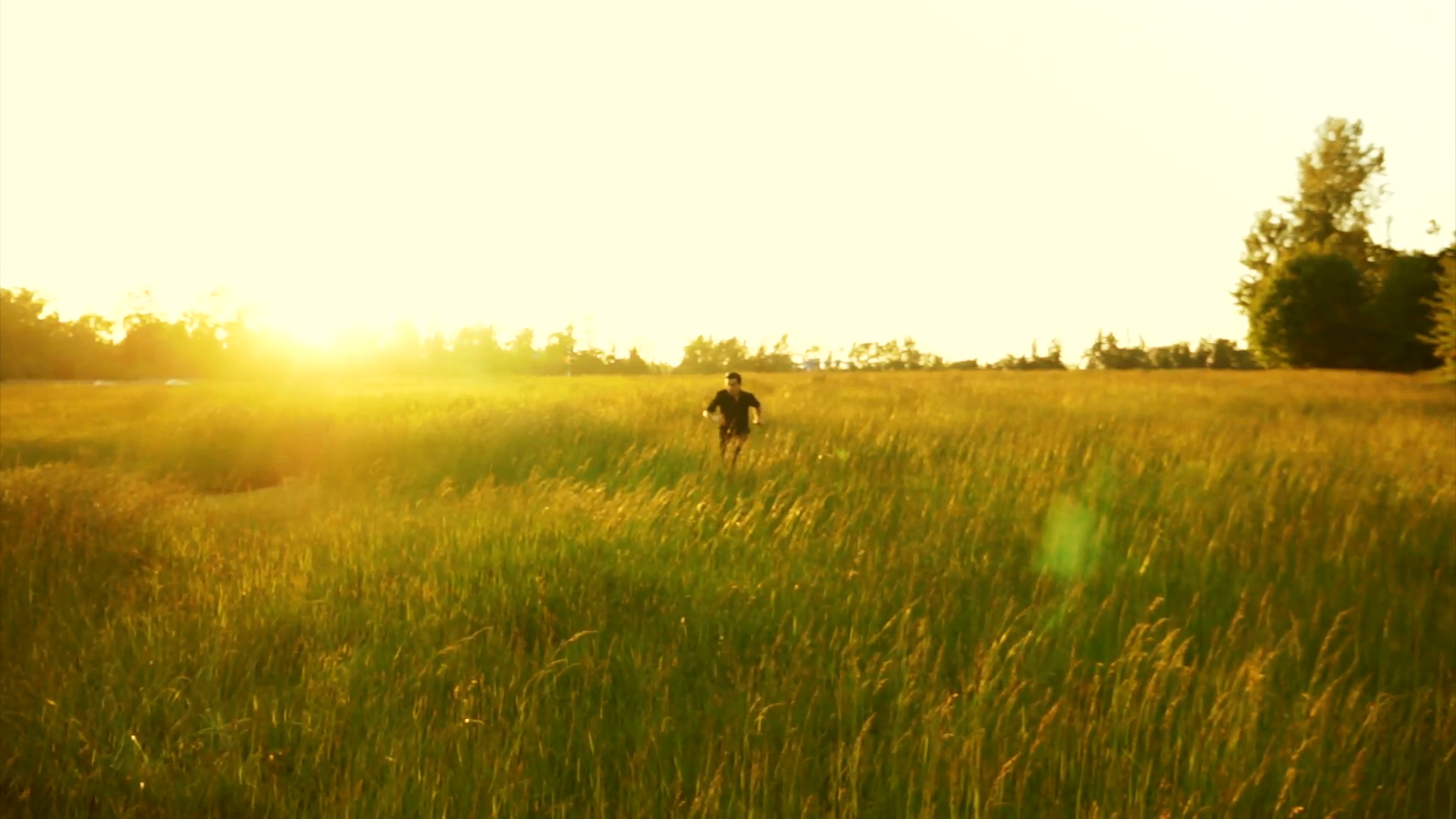 Man walking in a field with tall grass. Stock Video Footage ...