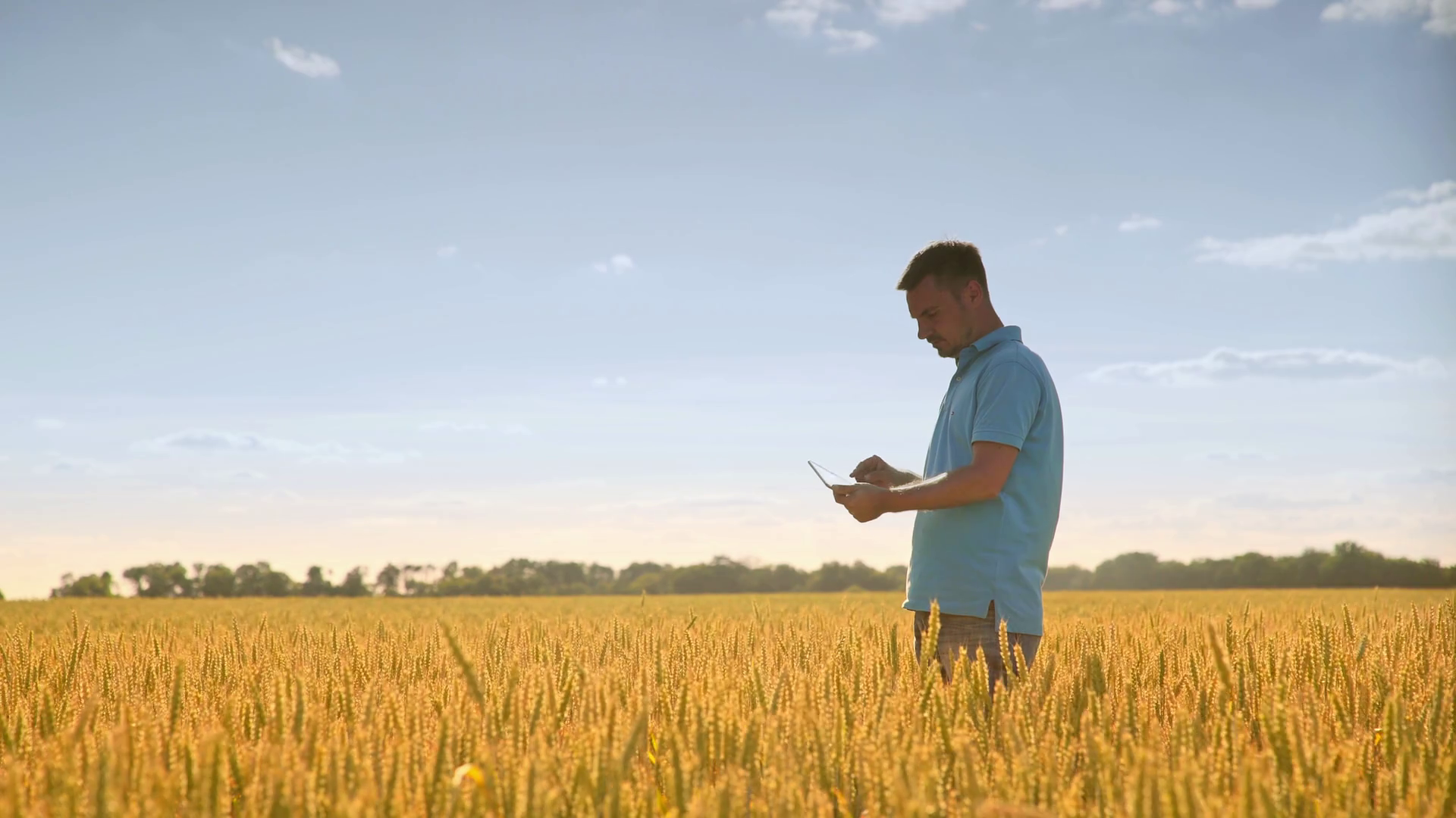 Agriculture science. Agronomist working in field. Man using tablet ...