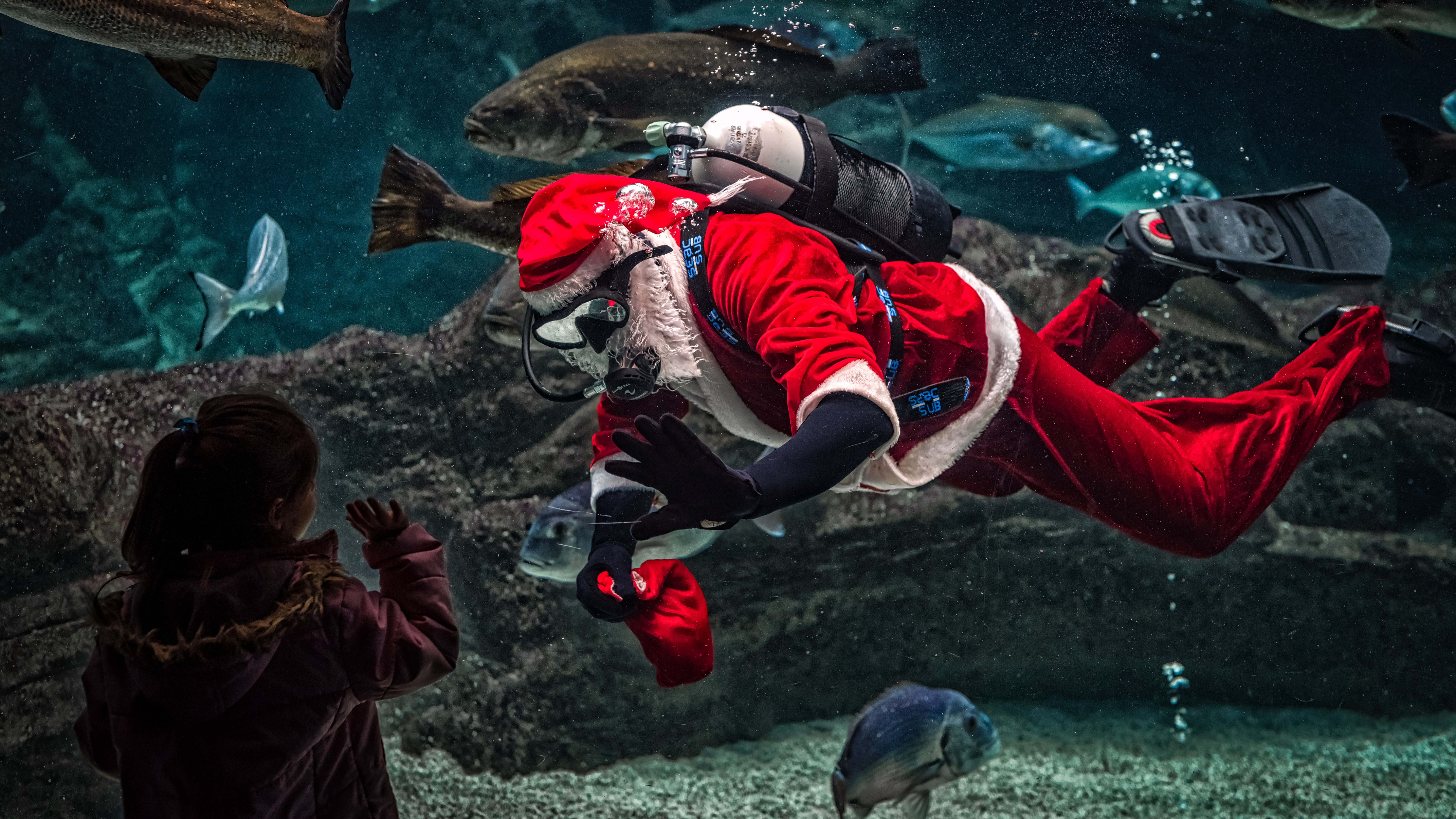 Man in santa claus costume with diving gear inside aquarium photo