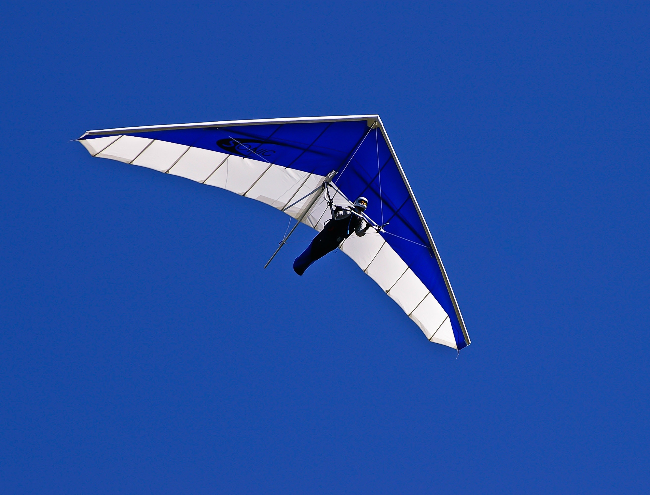 Man on blue and white air glider photo