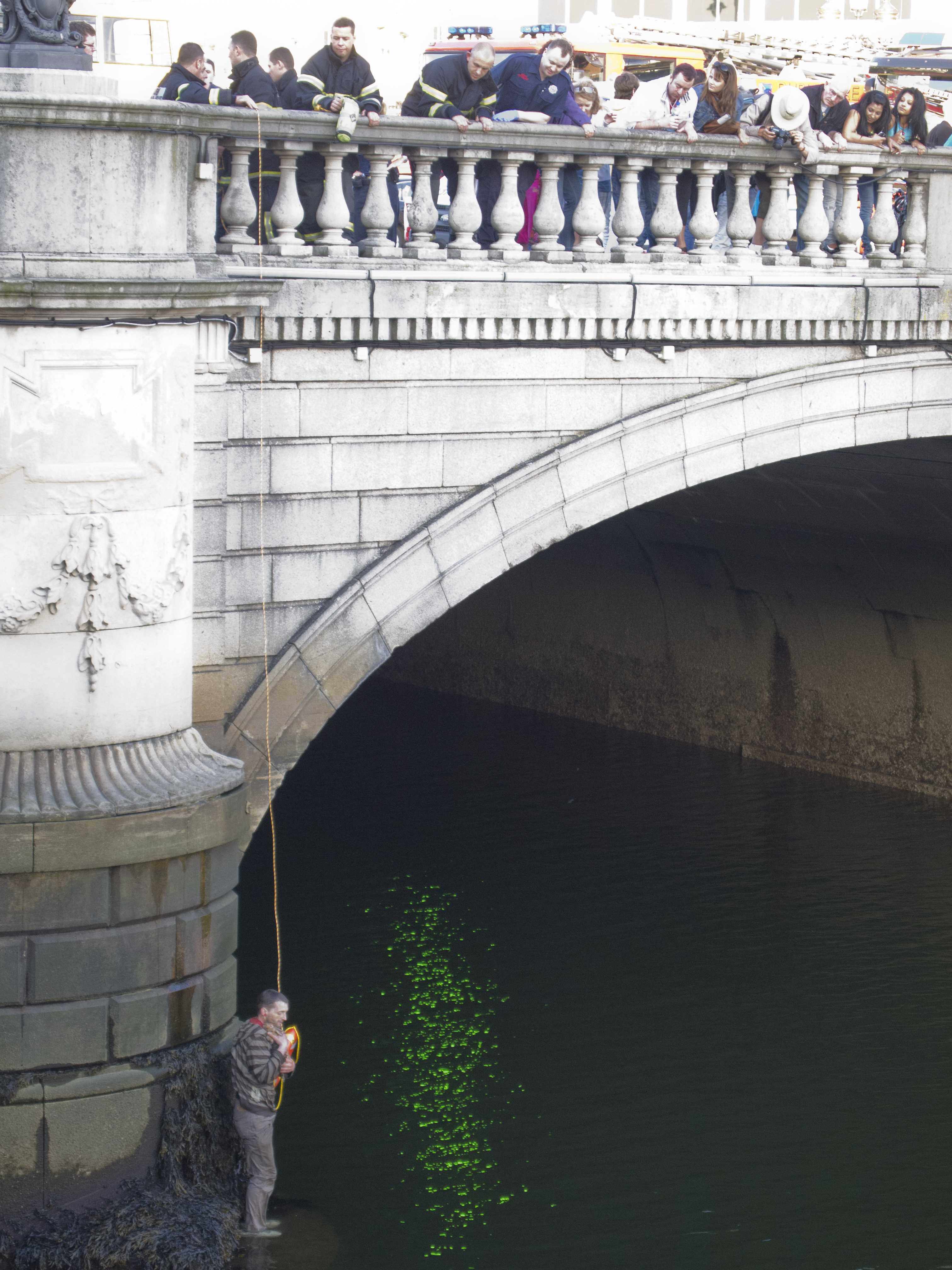 Man rescues pet rabbit from river liffey 03-07-2011 photo